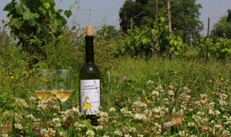 Naturhäuschen in Hurwenen