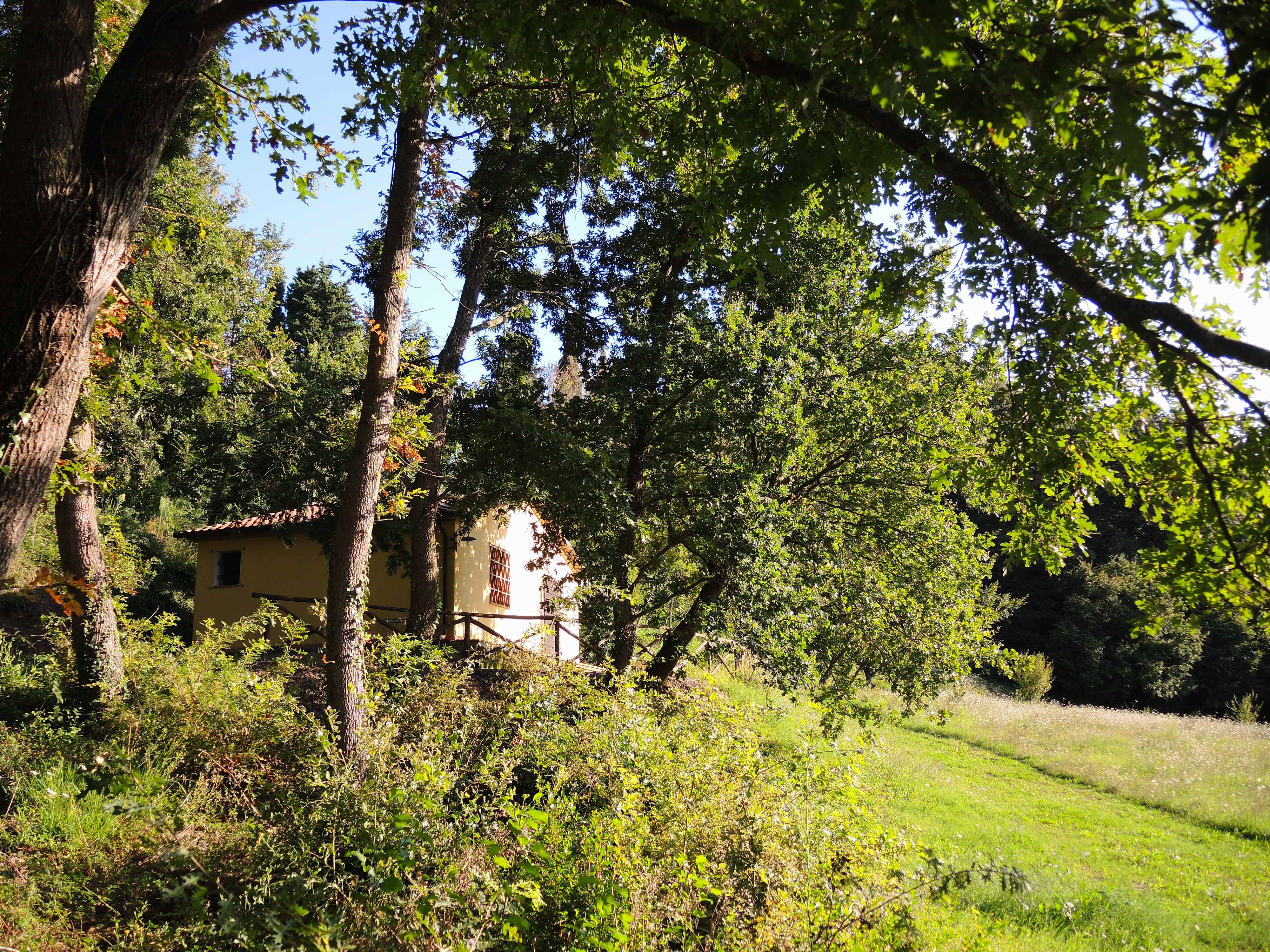 Nature house in Montescudaio