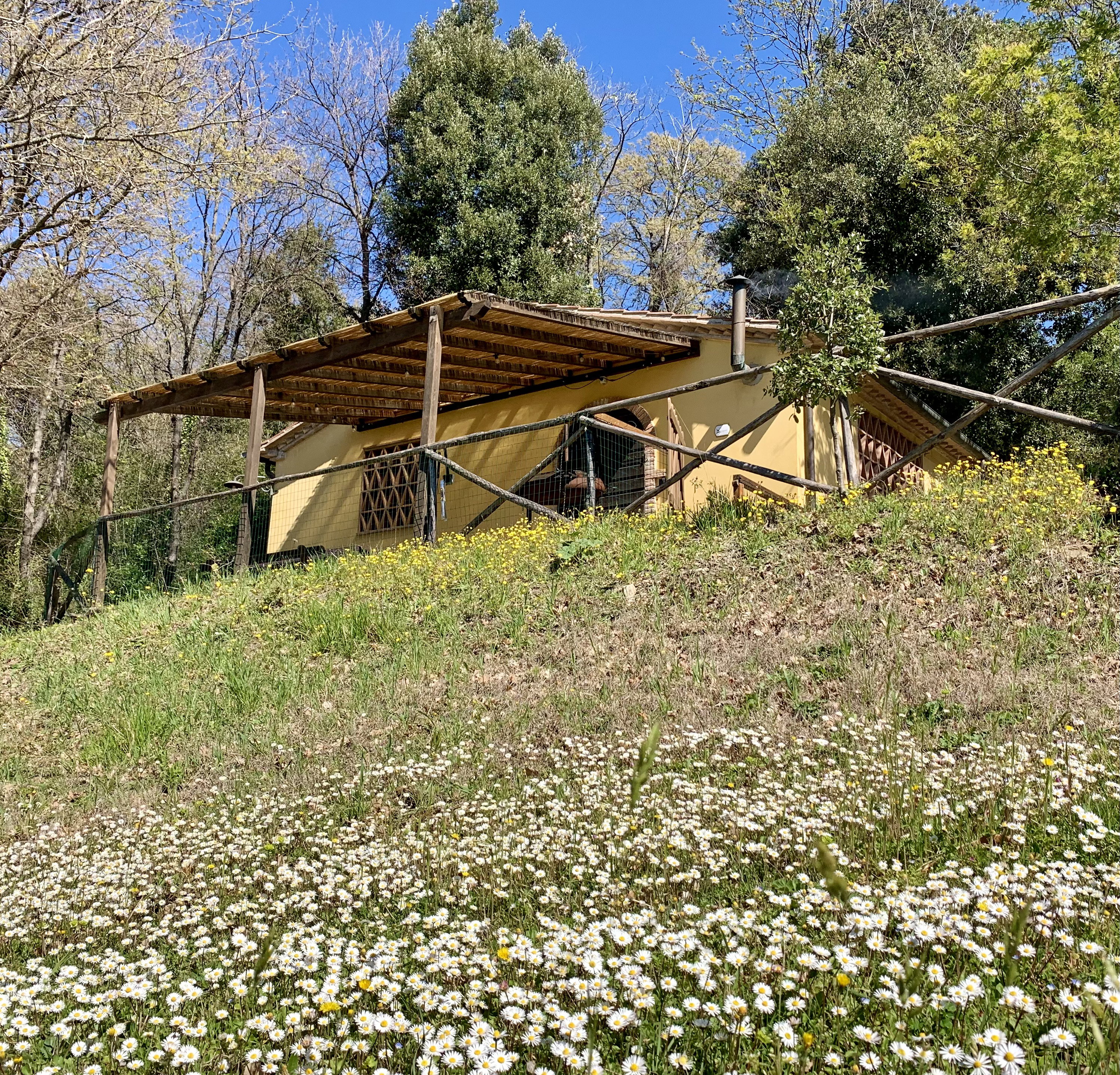 Nature house in Montescudaio
