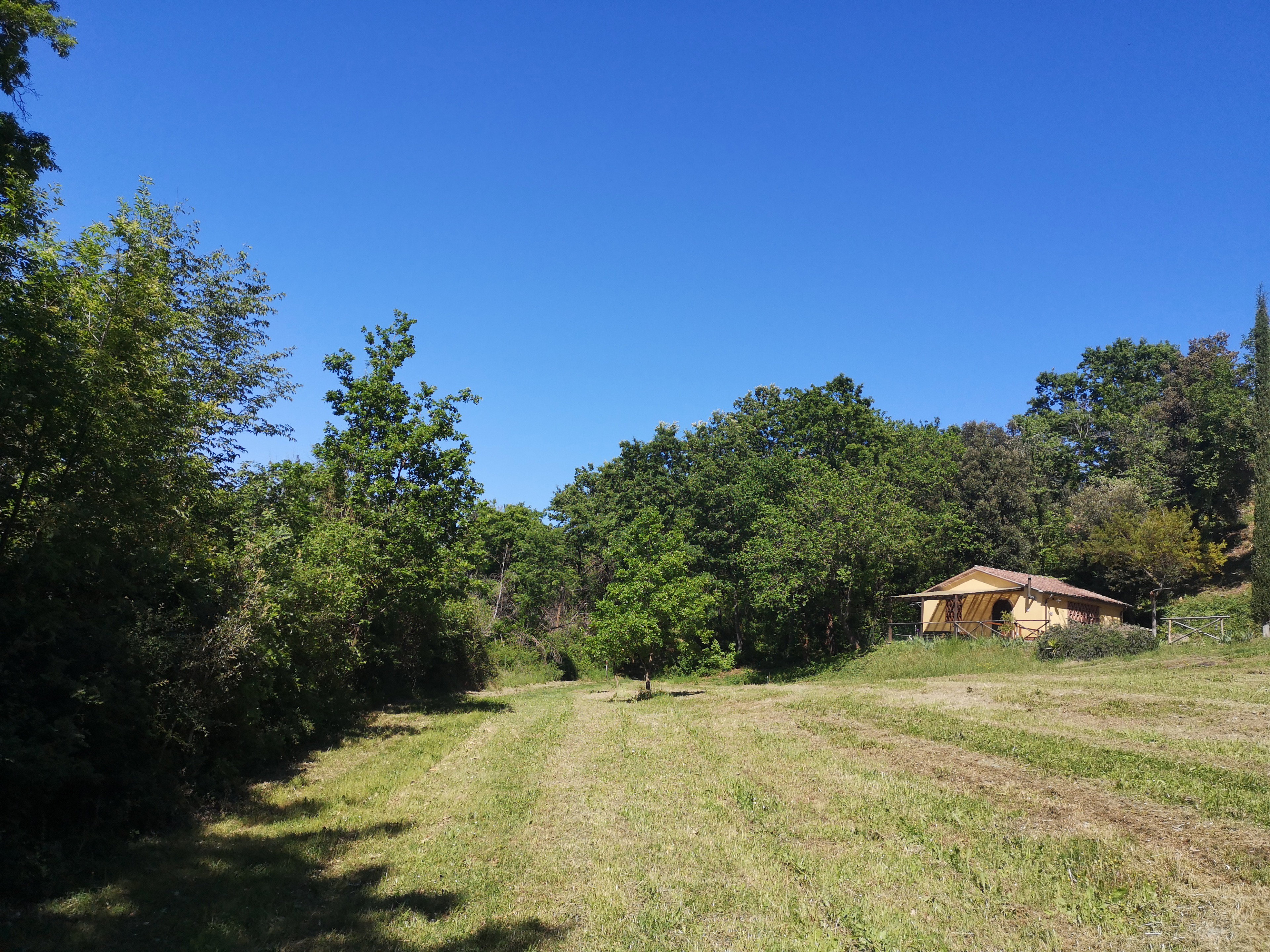 Nature house in Montescudaio