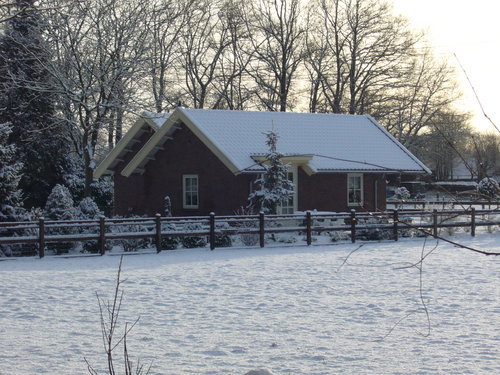 - image: 4