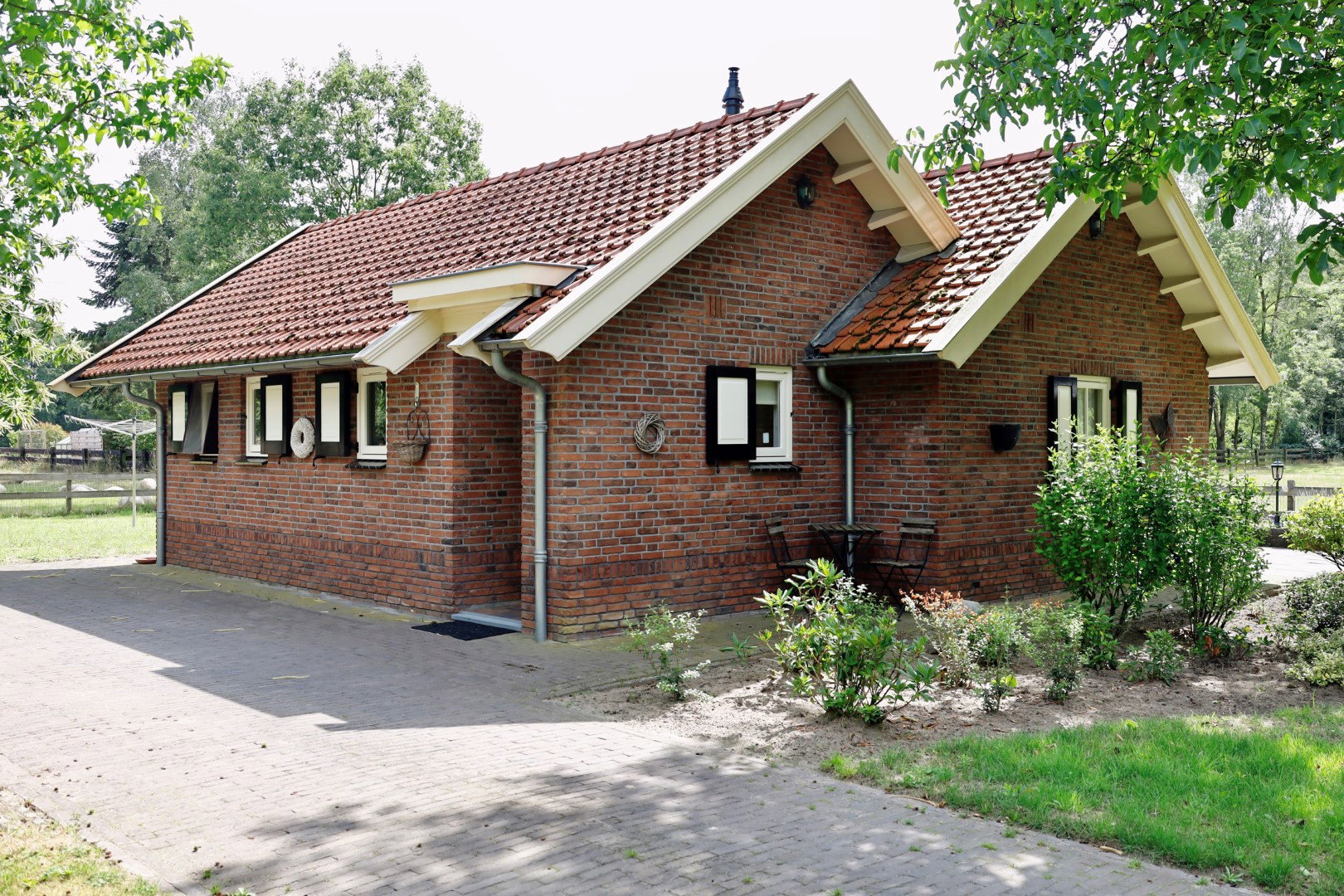 - image: 1