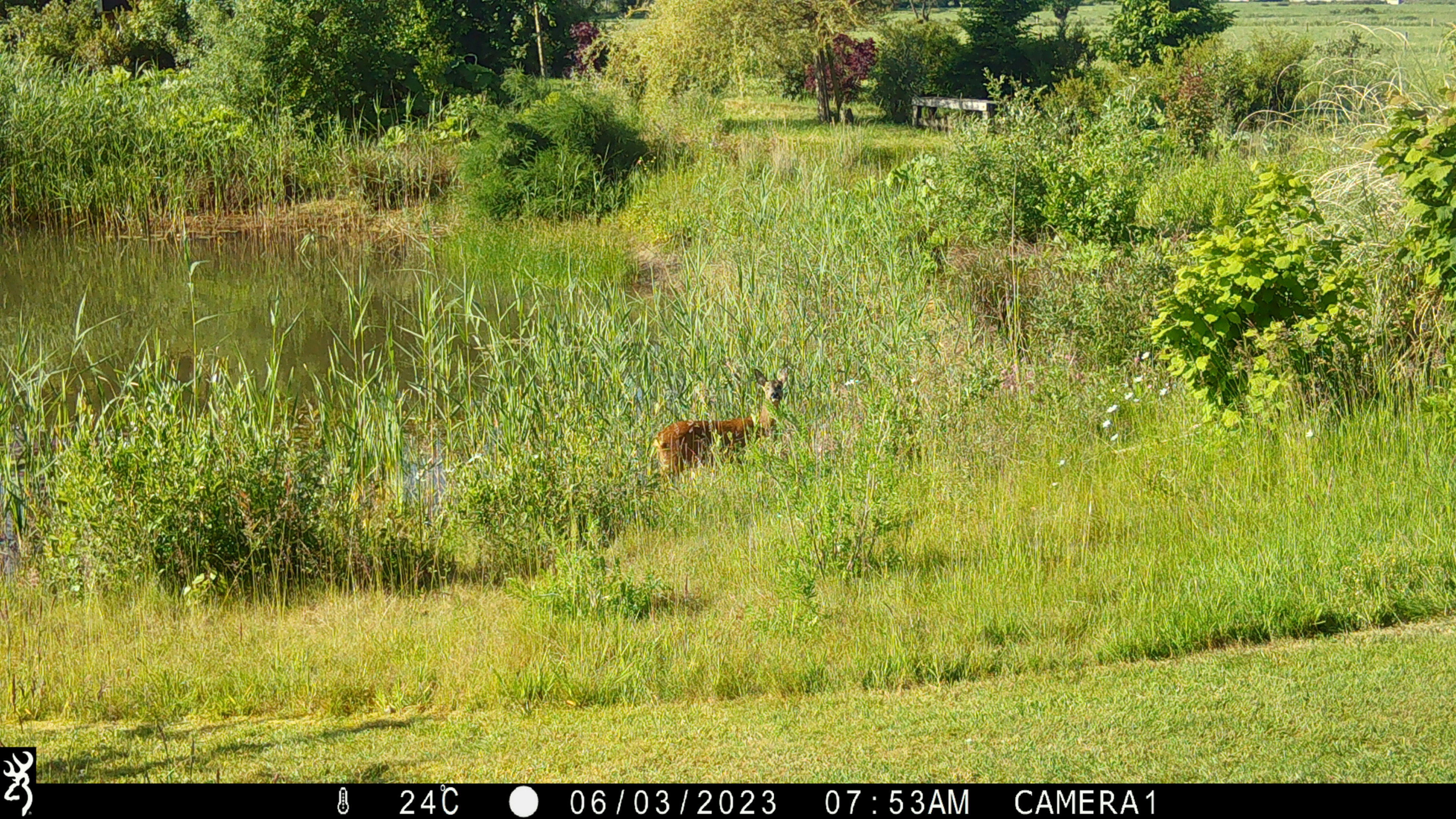 Naturhäuschen in Leuvenheim