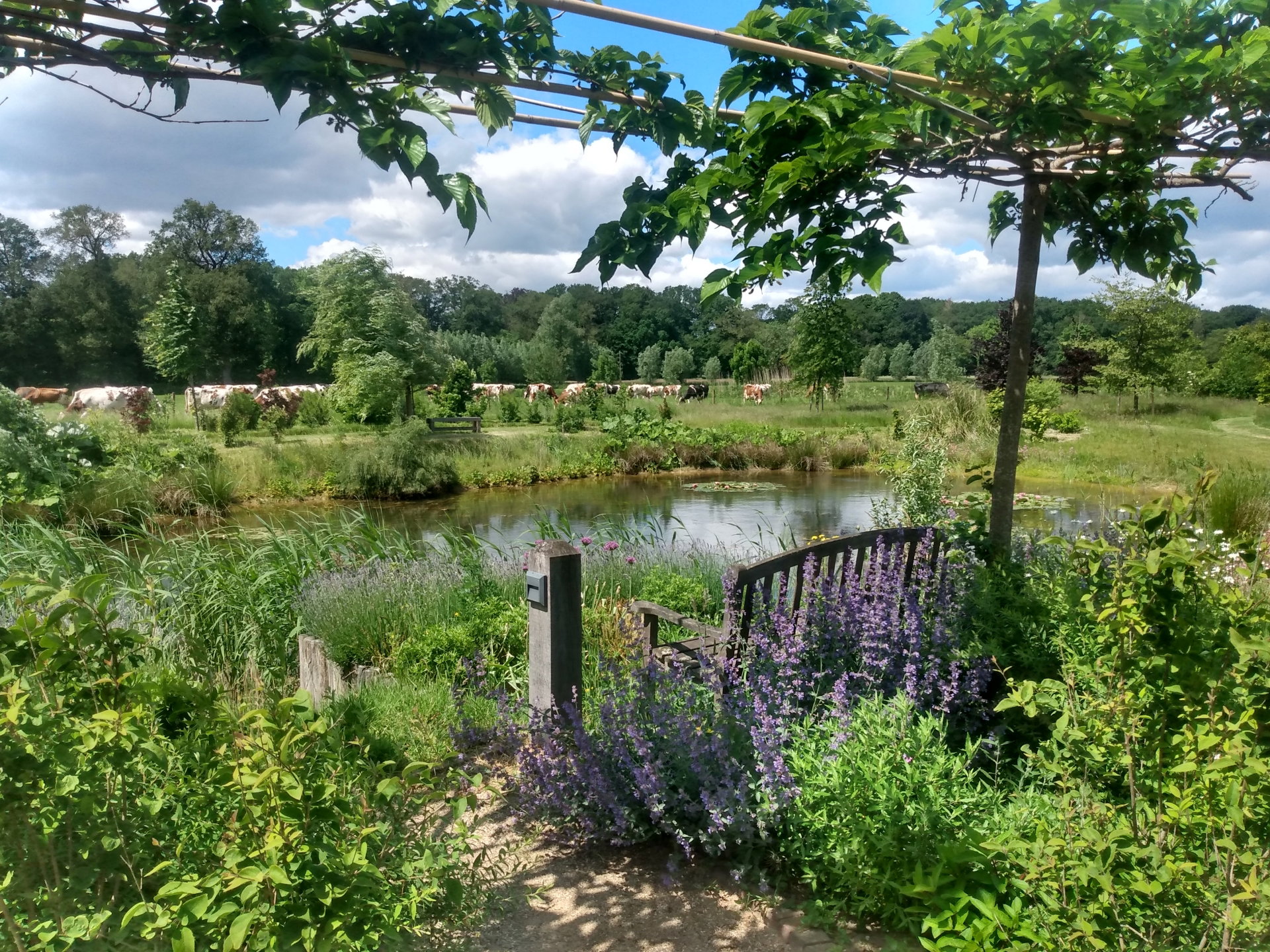 Naturhäuschen in Leuvenheim