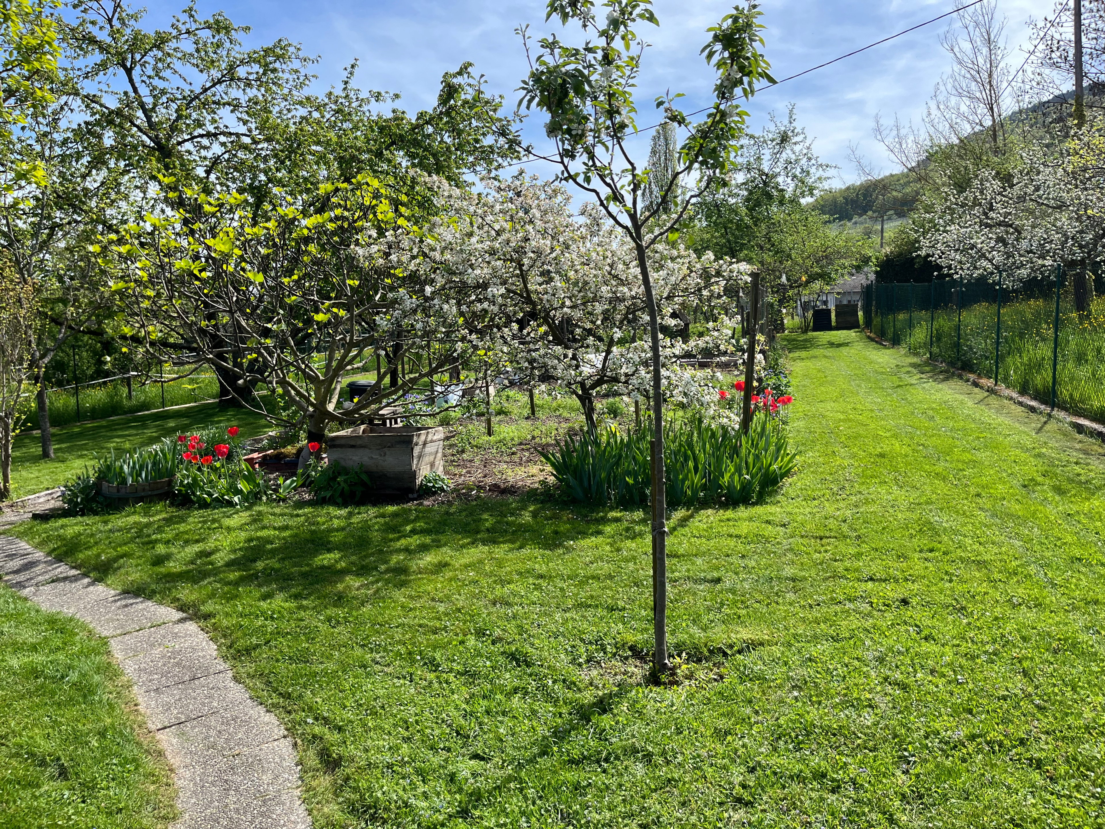 Maison nature à Orschwihr
