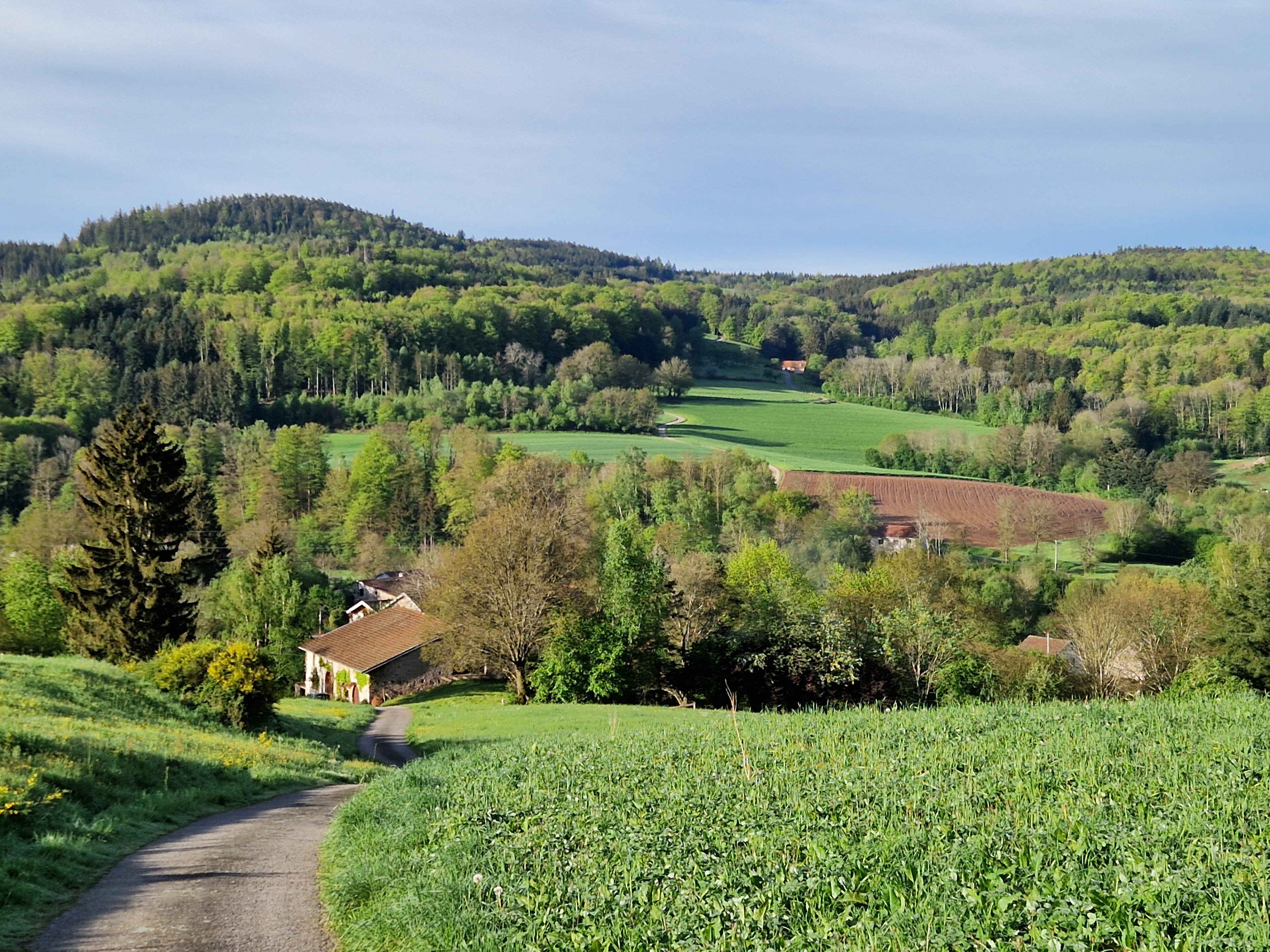 Maison nature à la-Chapelle-devant-Bruyères