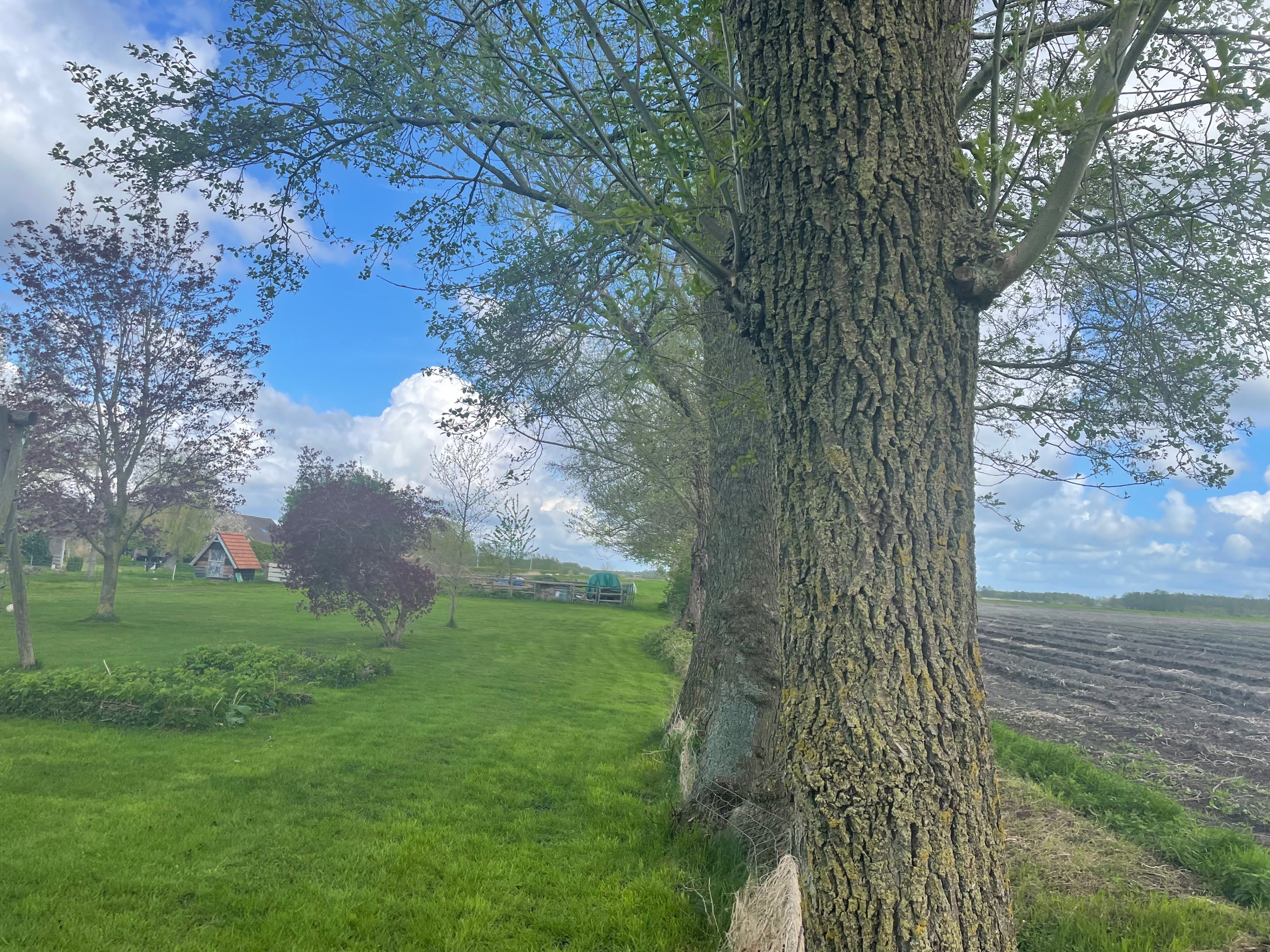 Naturhäuschen in Wanneperveen