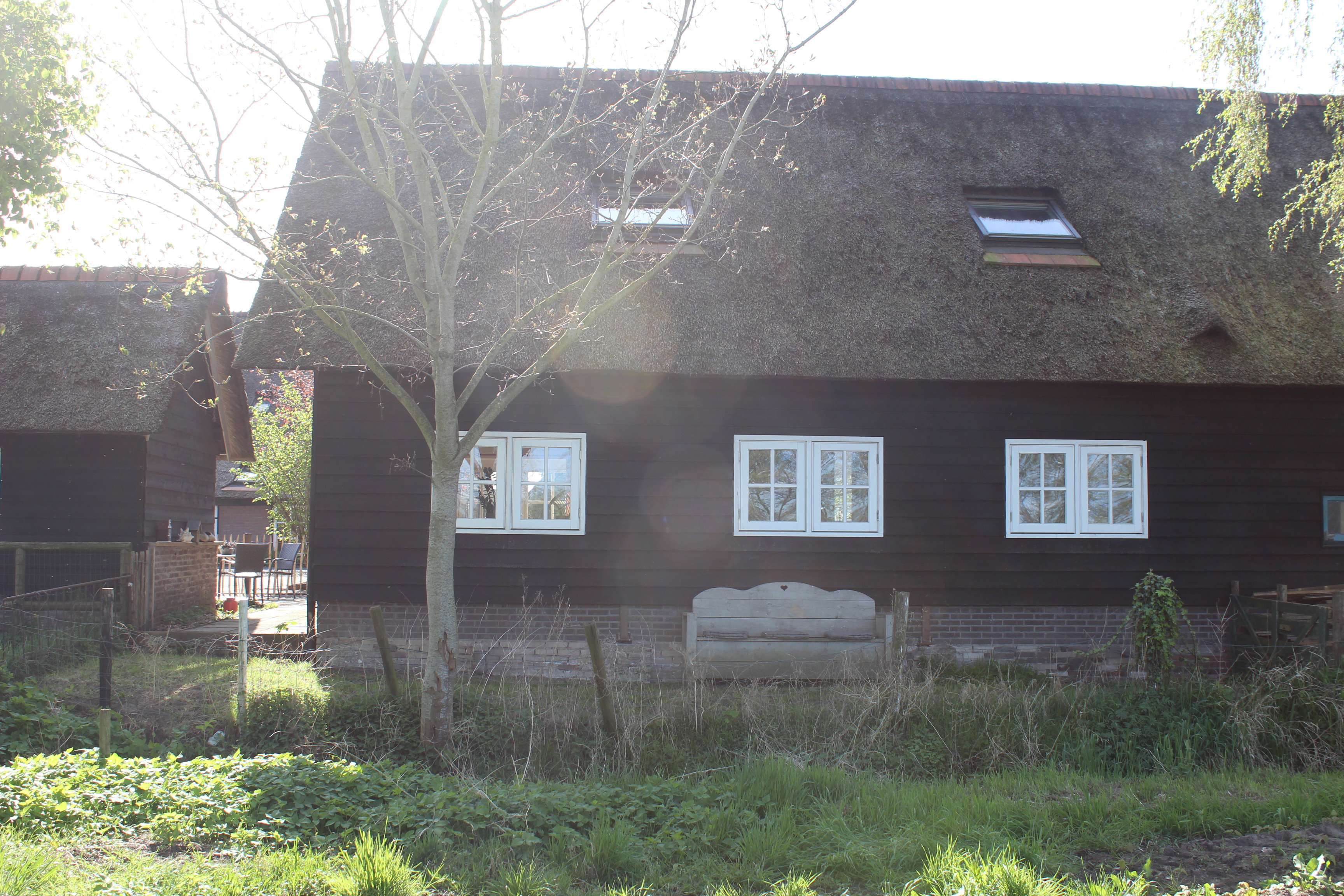 Naturhäuschen in Wanneperveen