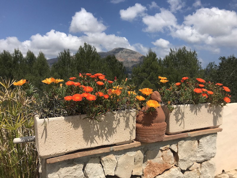 Nature house in Jávea