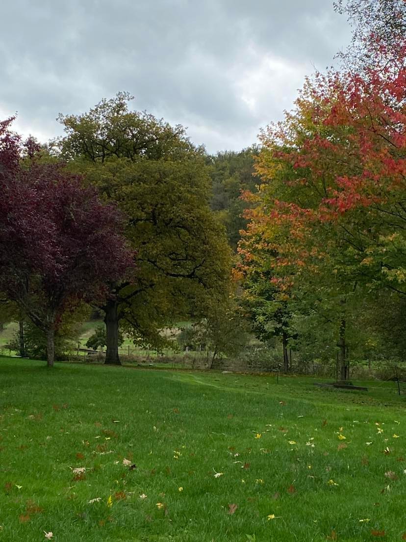 Natuurhuisje in La roche-en-ardenne