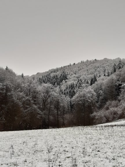Natuurhuisje in La roche-en-ardenne