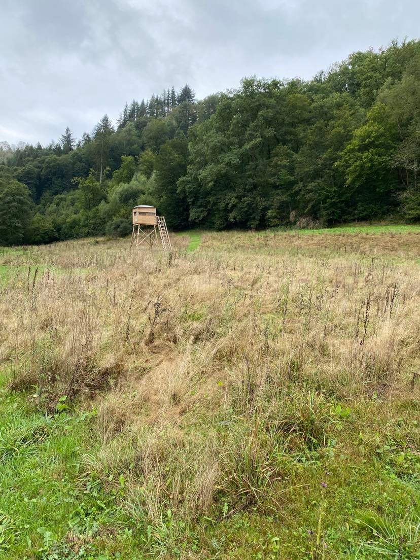 Natuurhuisje in La roche-en-ardenne