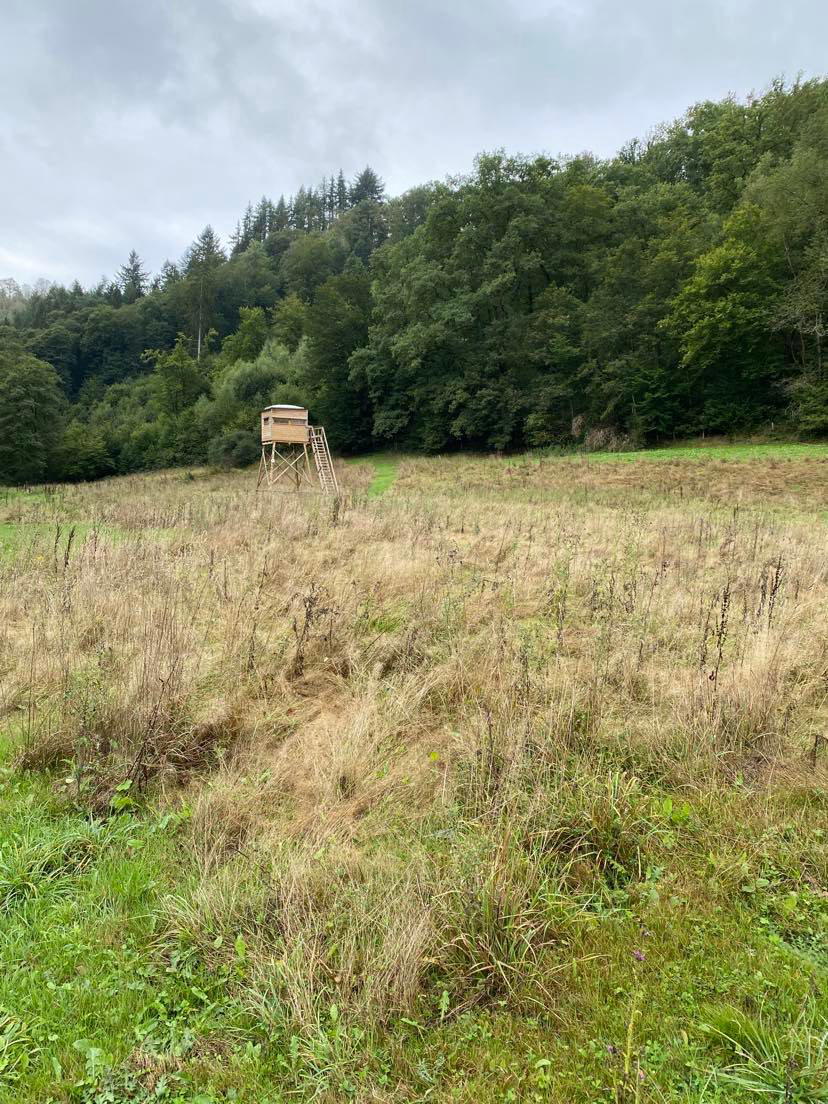 Natuurhuisje in La roche-en-ardenne