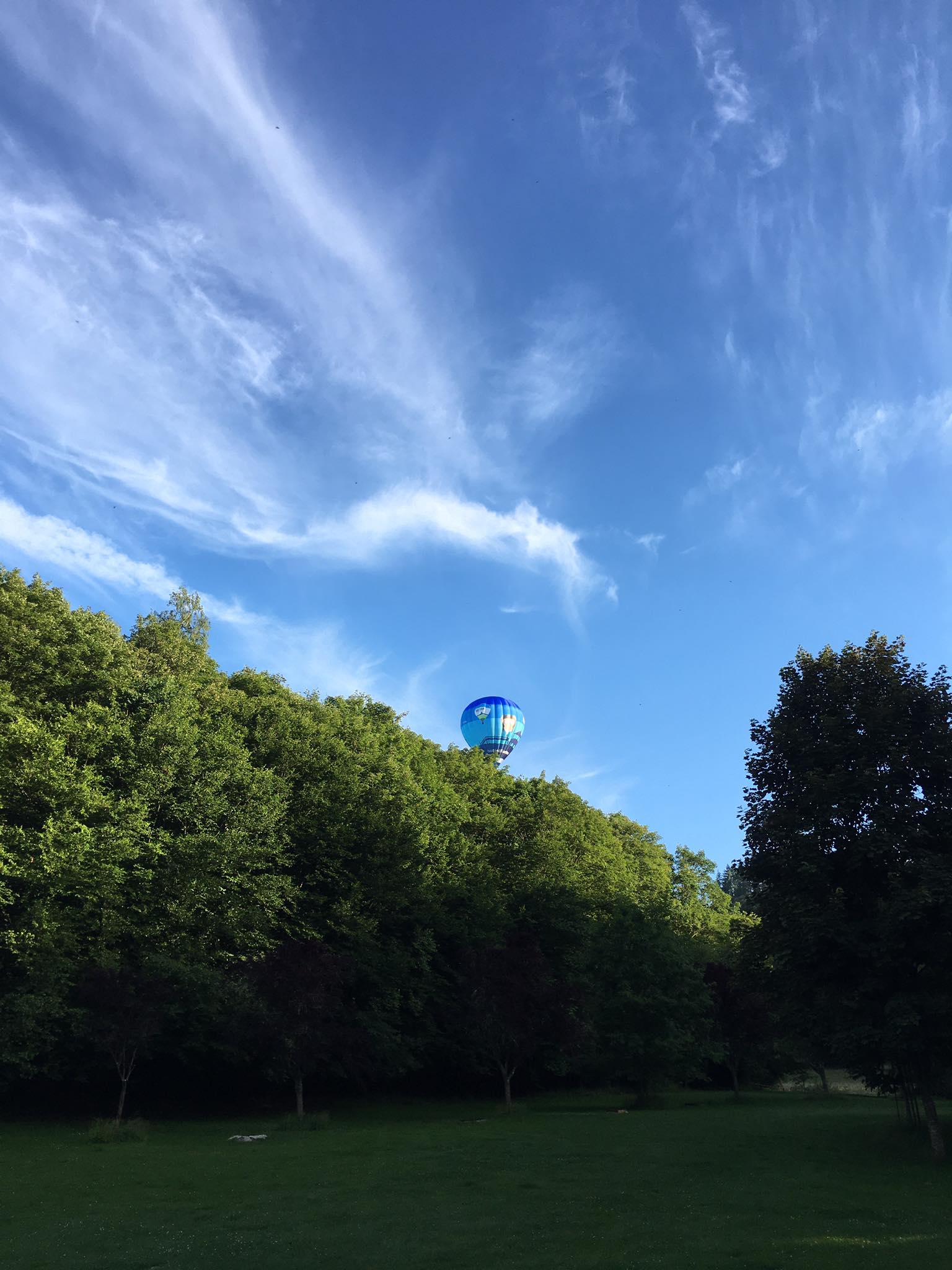 Natuurhuisje in La roche-en-ardenne