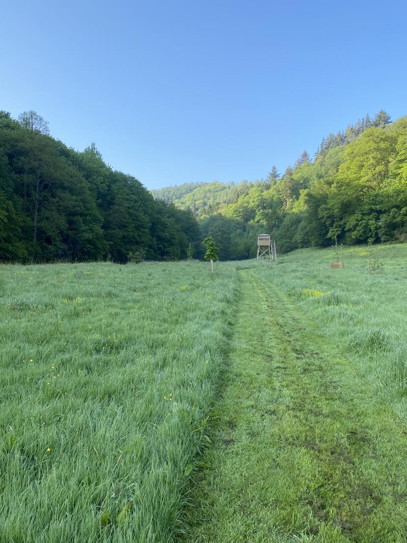 Natuurhuisje in La roche-en-ardenne