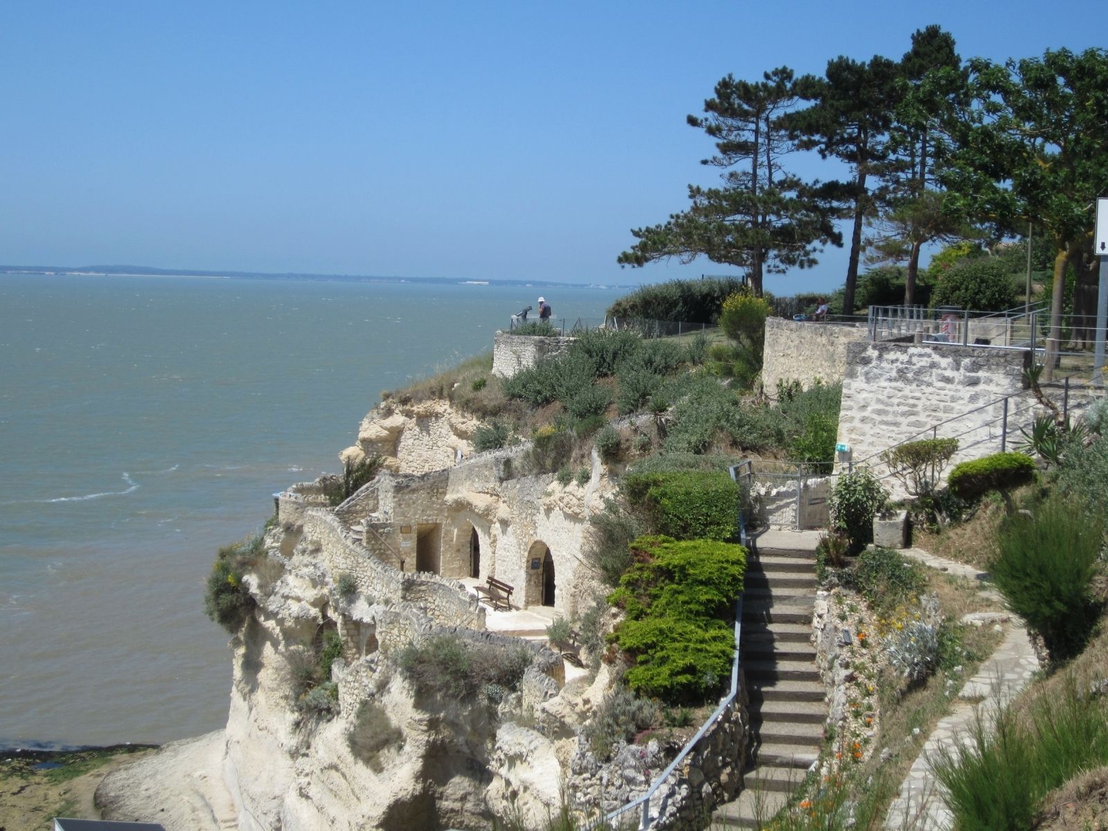 - image: 14