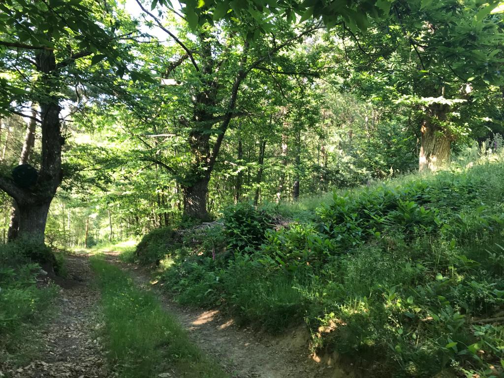 Natuurhuisje in Saint Basile