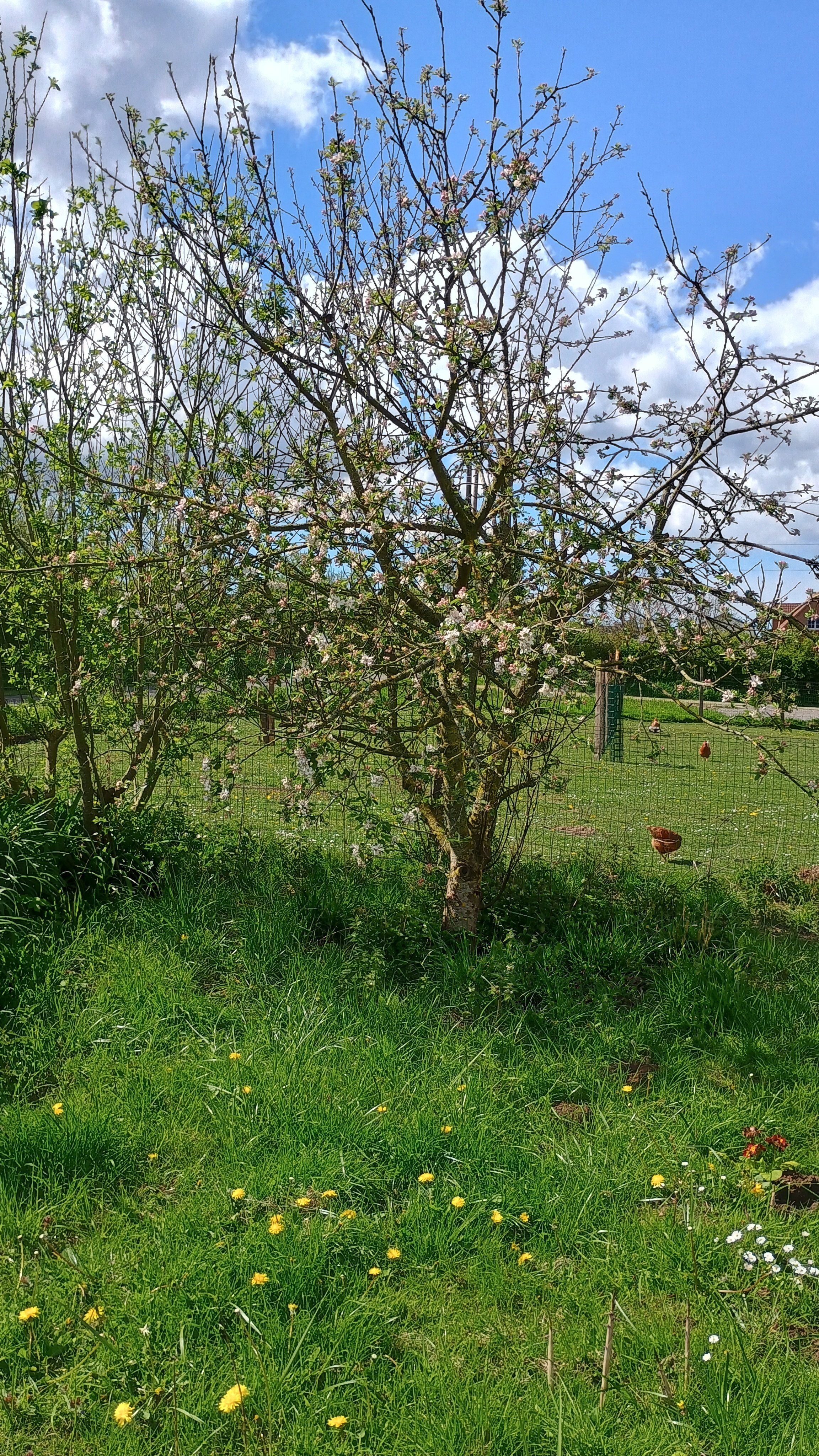 Natuurhuisje in brimeux