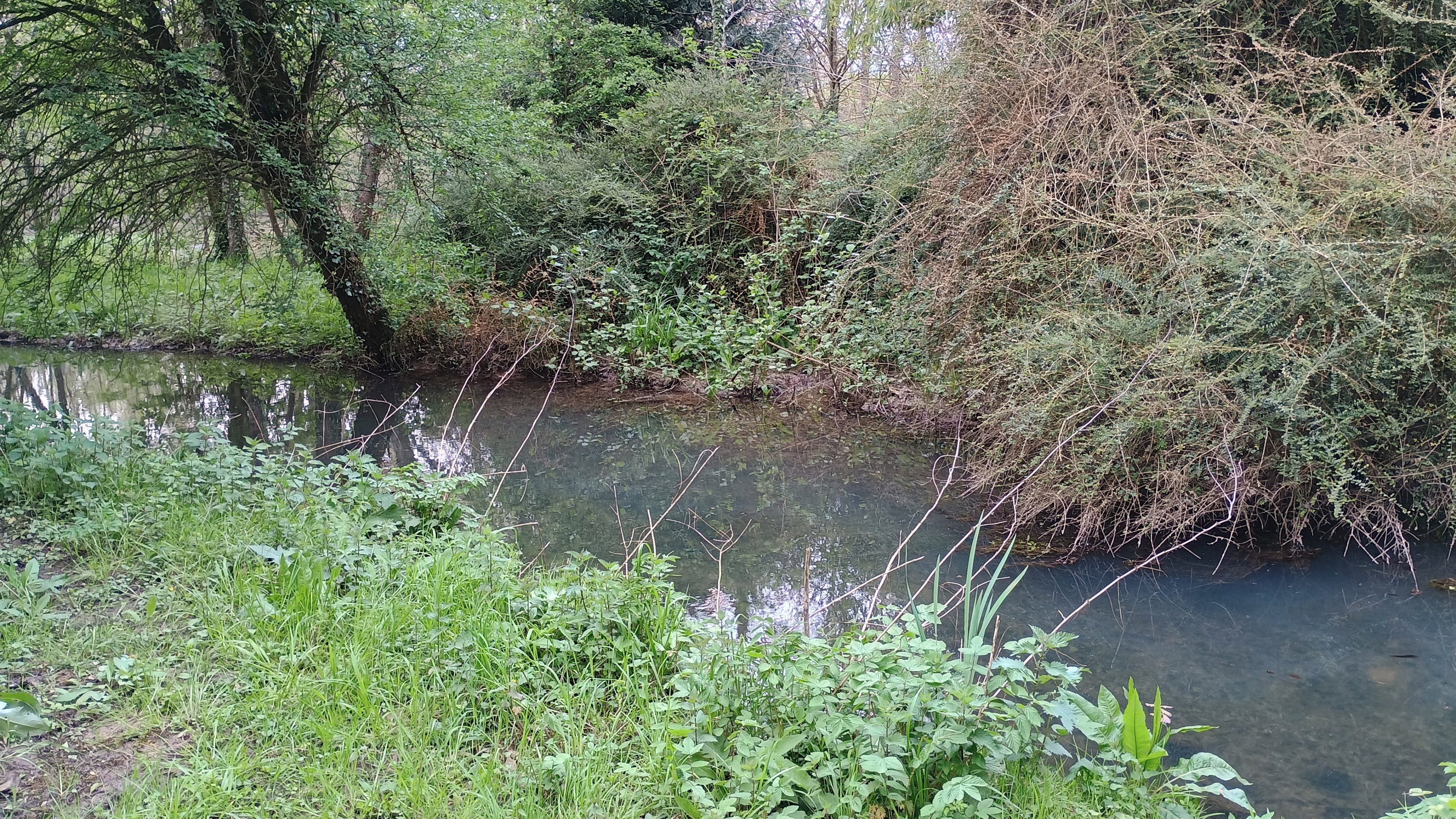 Natuurhuisje in brimeux