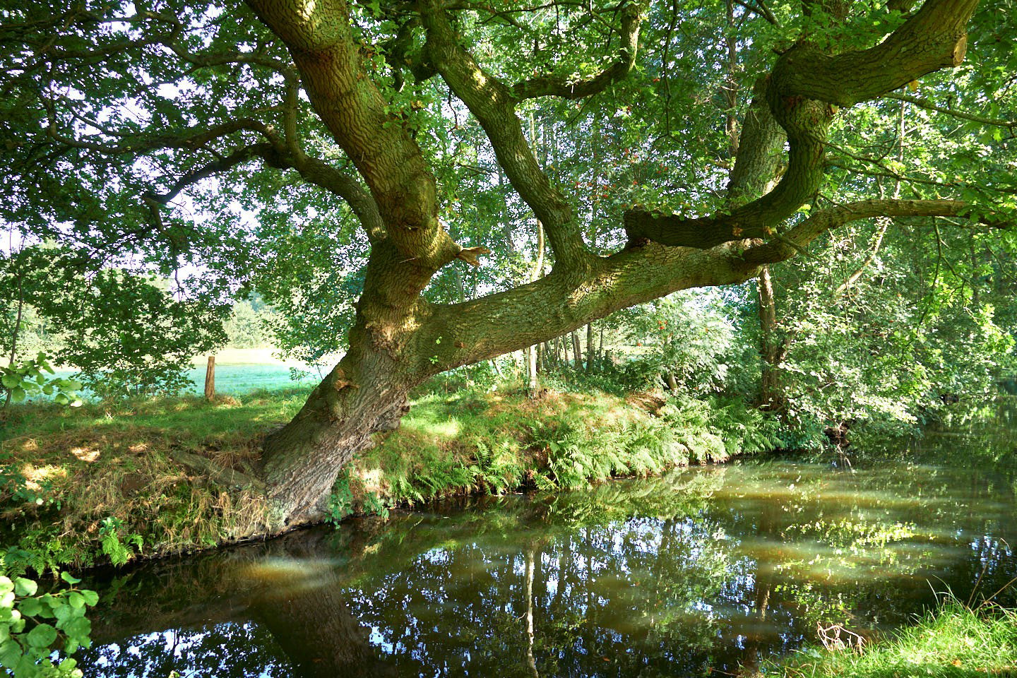 Naturhäuschen in Wenum Wiesel