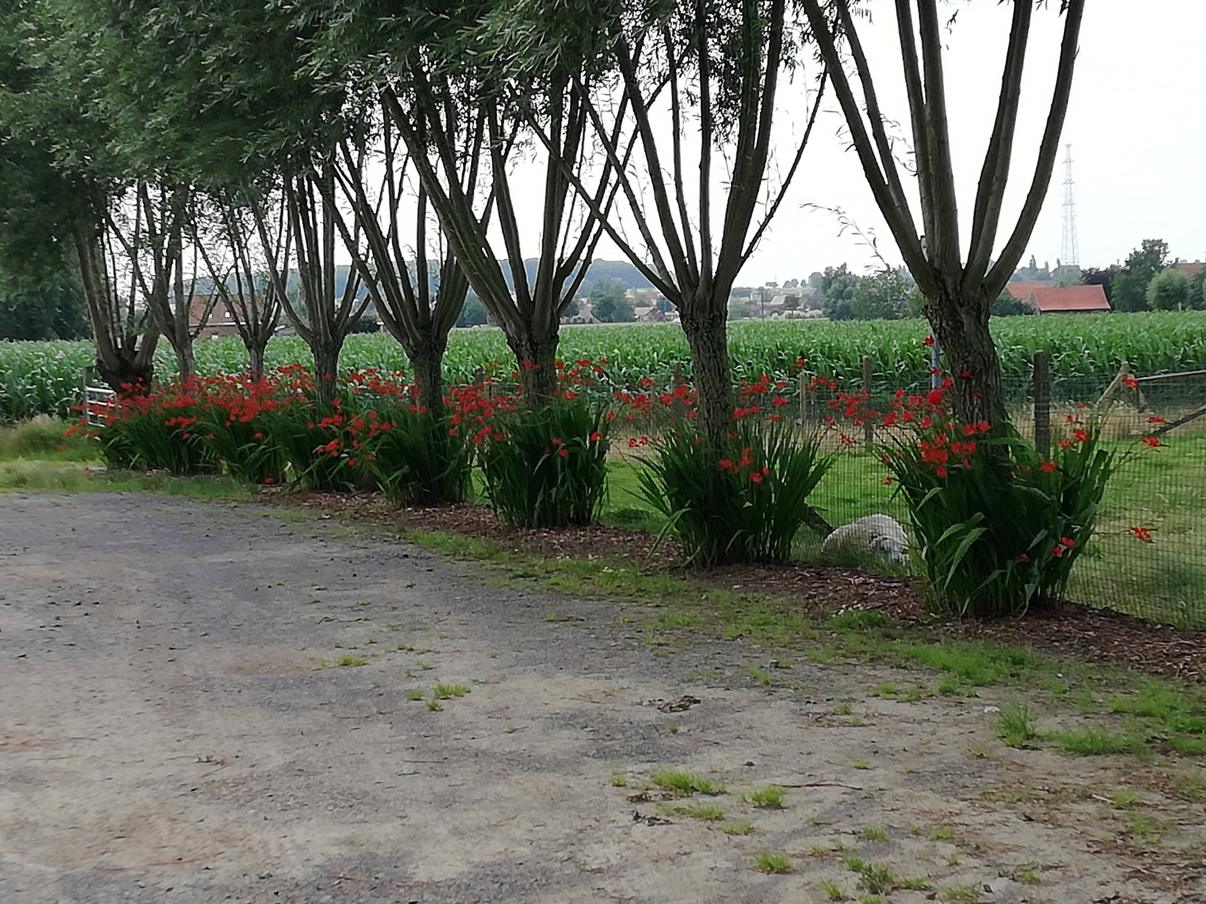 Casa nella natura a Ingooigem/Anzegem