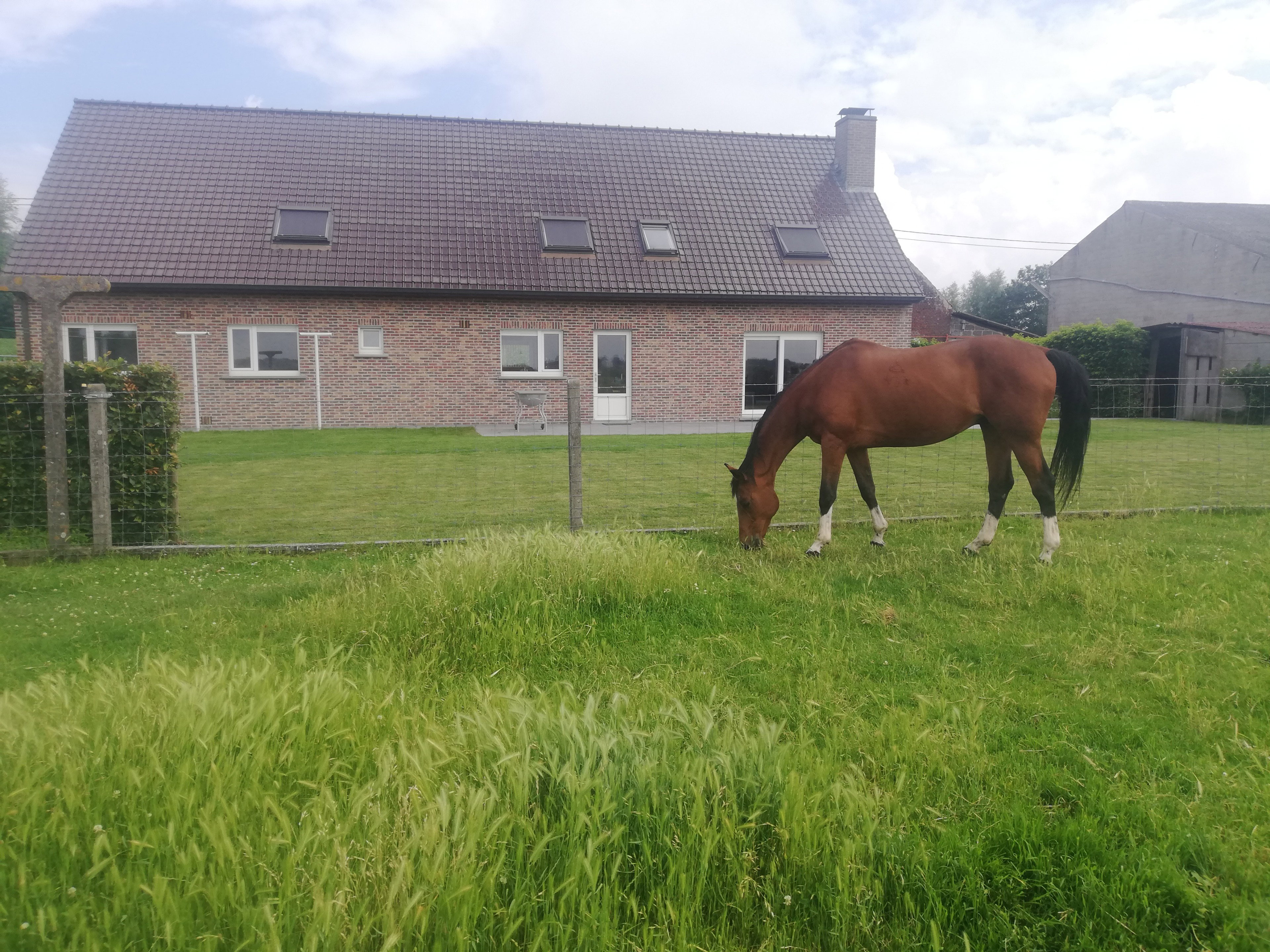 Casa nella natura a Ingooigem/Anzegem