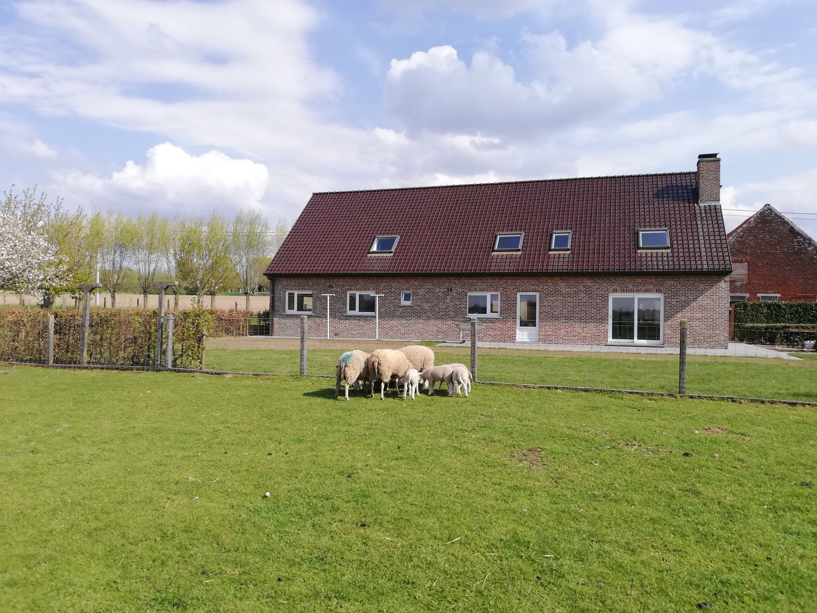 Casa nella natura a Ingooigem/Anzegem