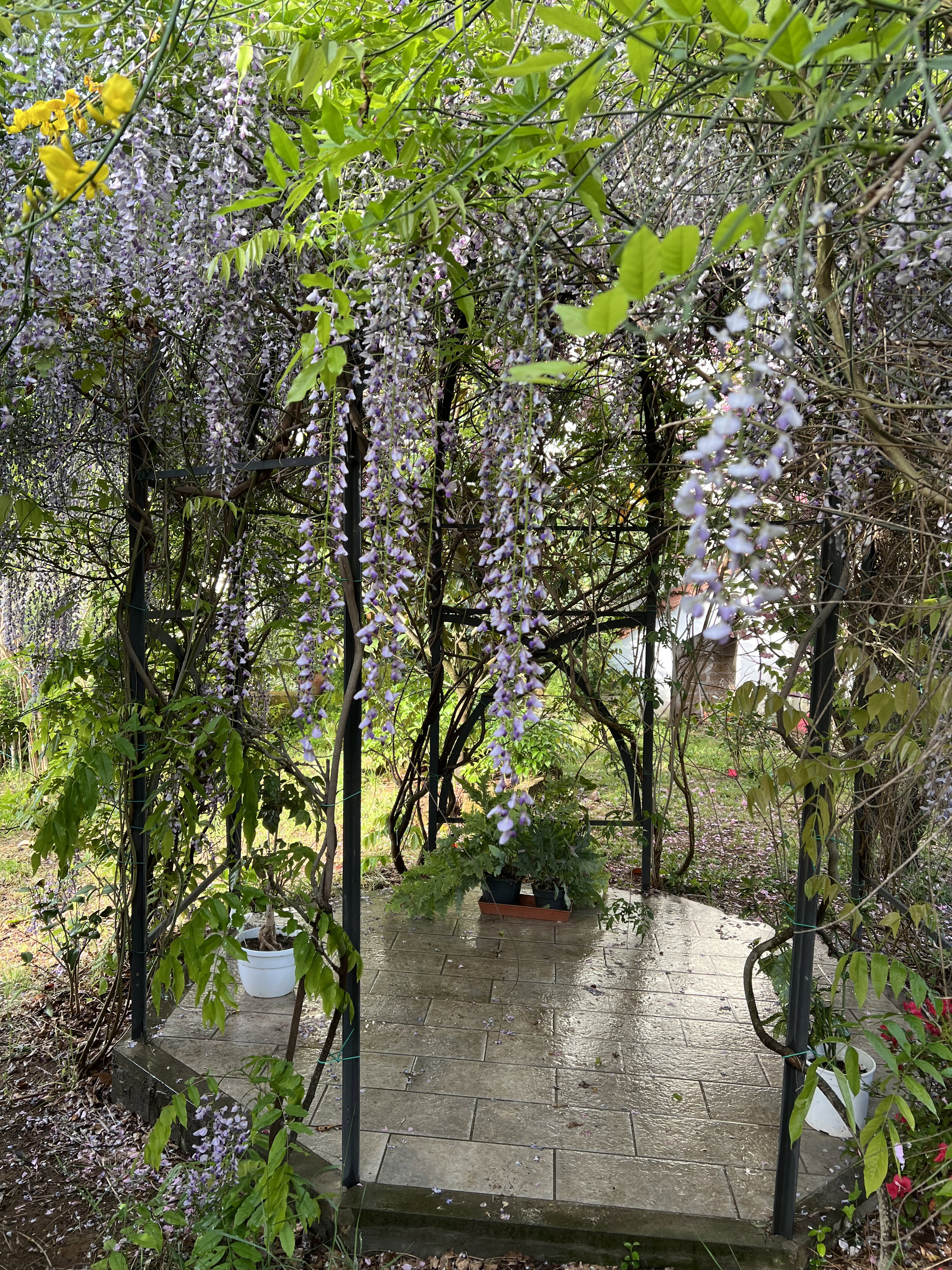 Casa nella natura a Fabrica Di Roma