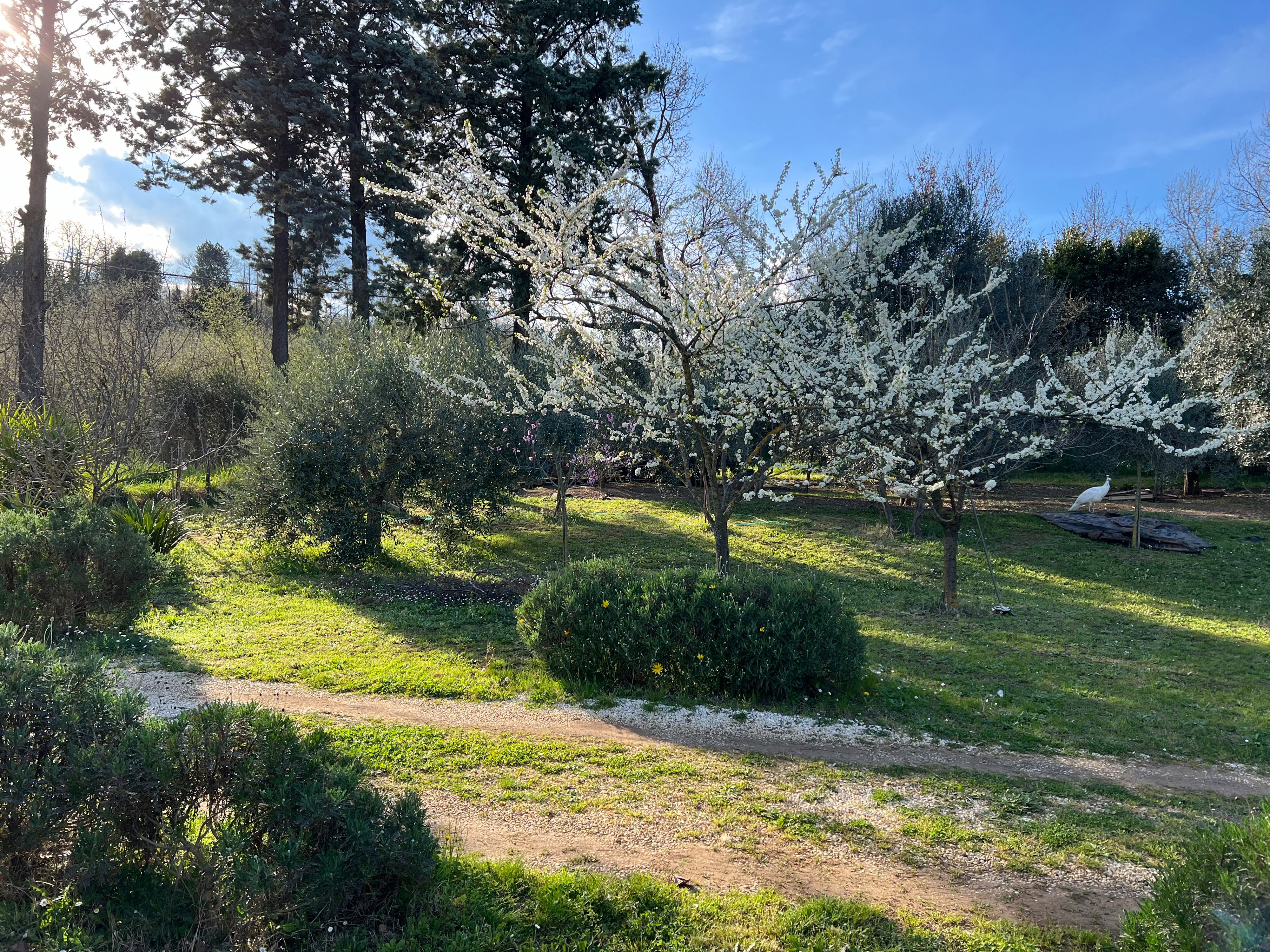 Casa nella natura a Fabrica Di Roma