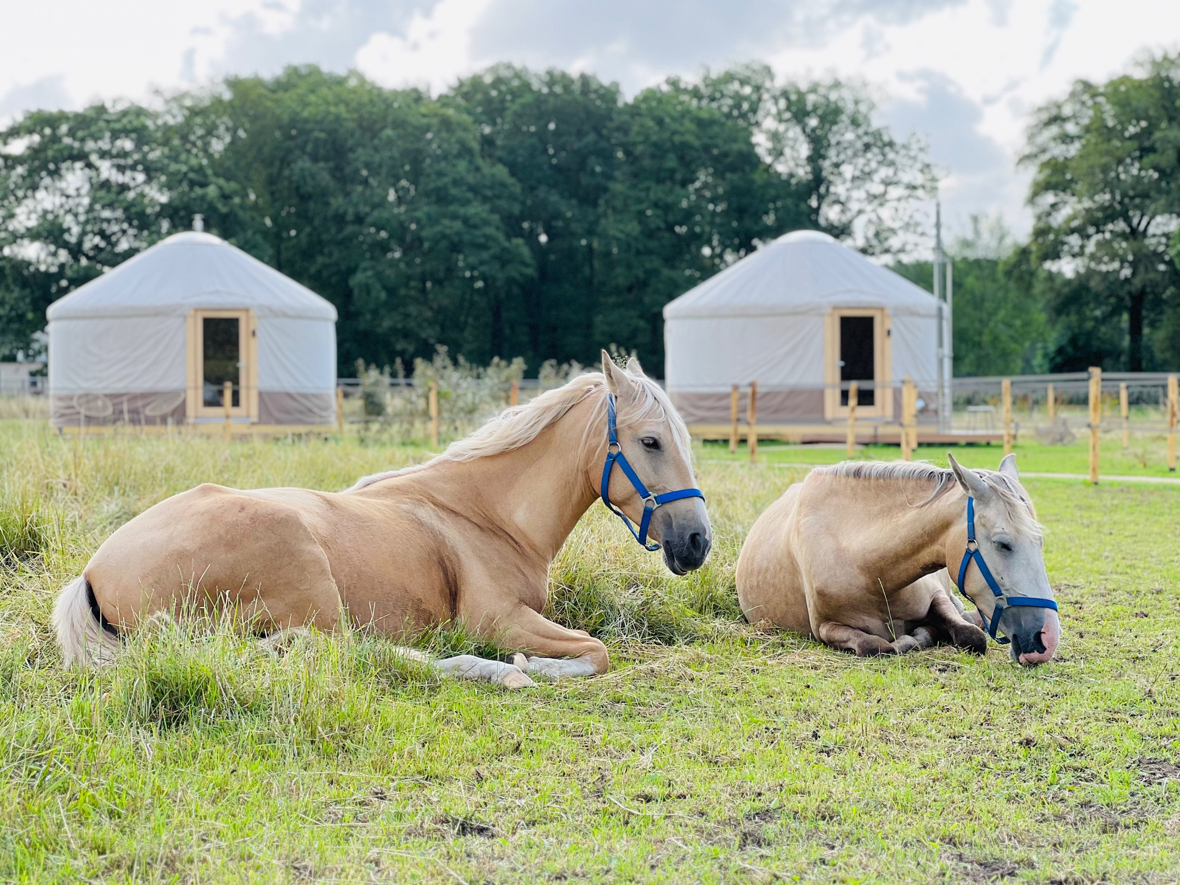 Natuurhuisje in Ledeacker