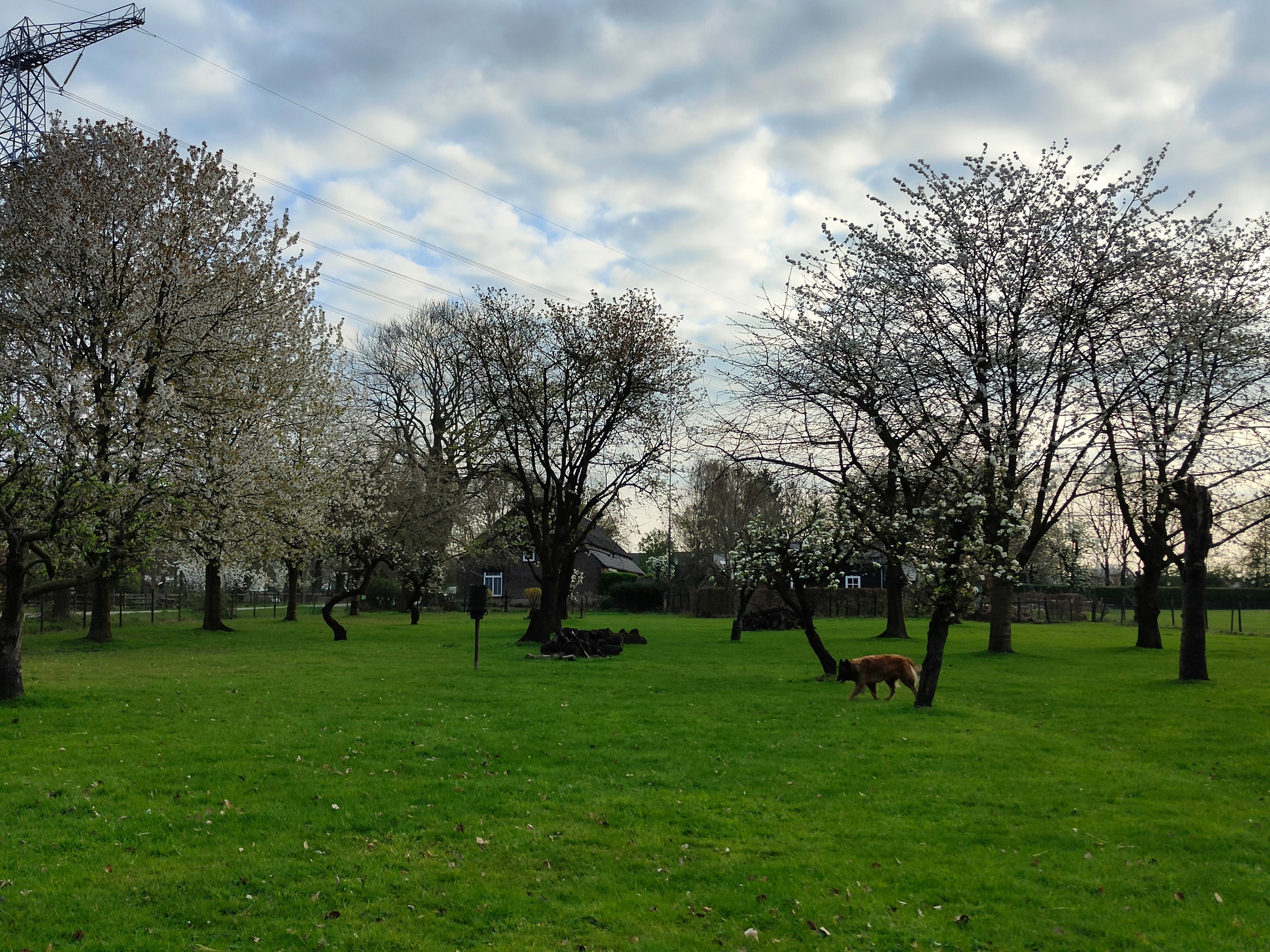 Natuurhuisje in Mierlo