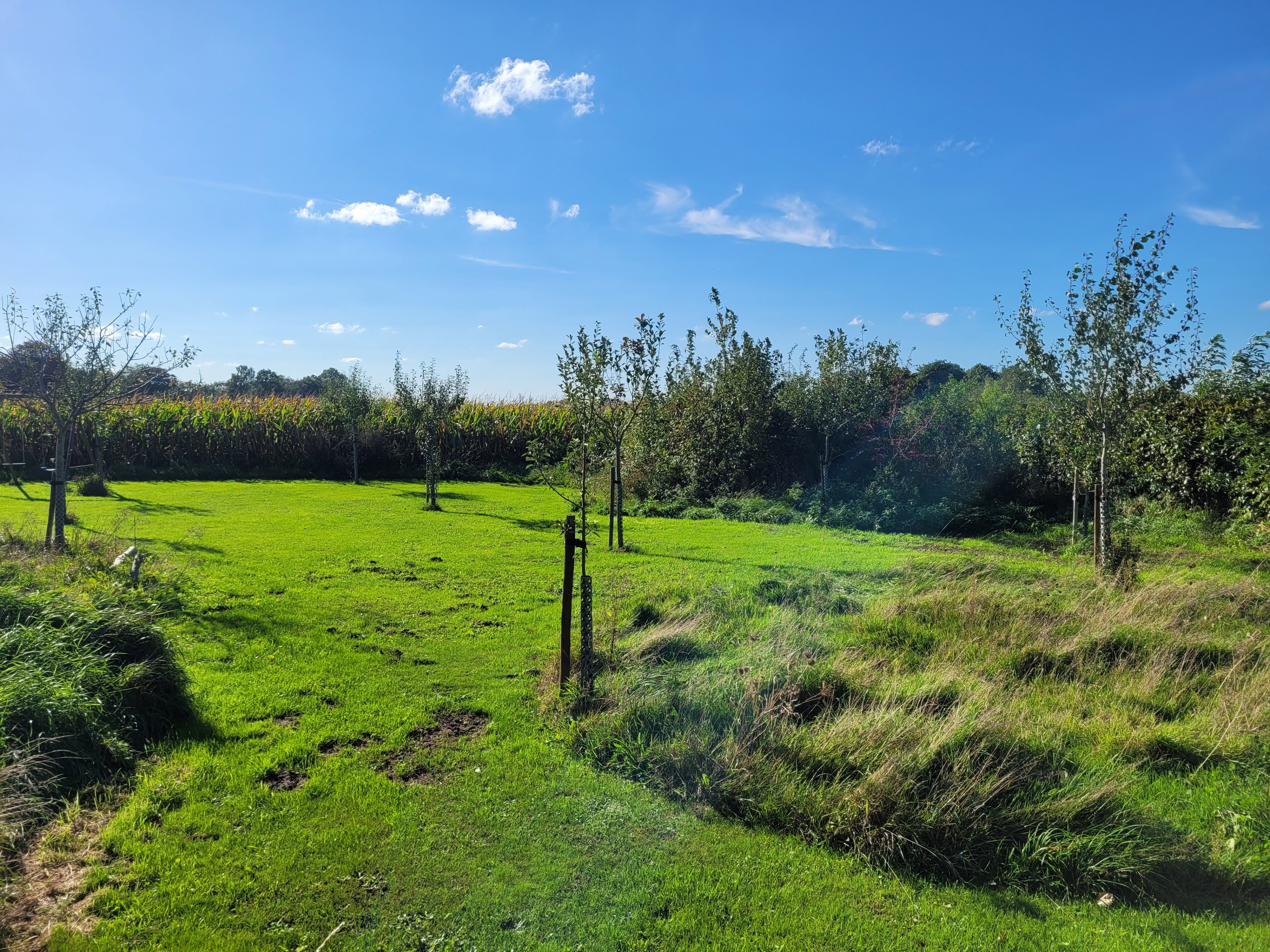 Natuurhuisje in Terwolde