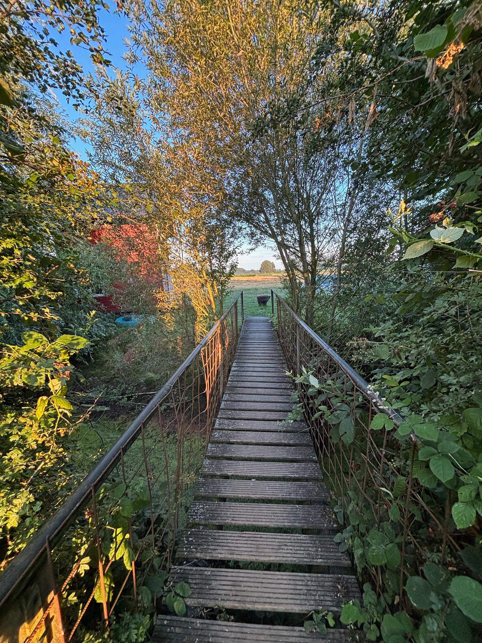 - image: 19