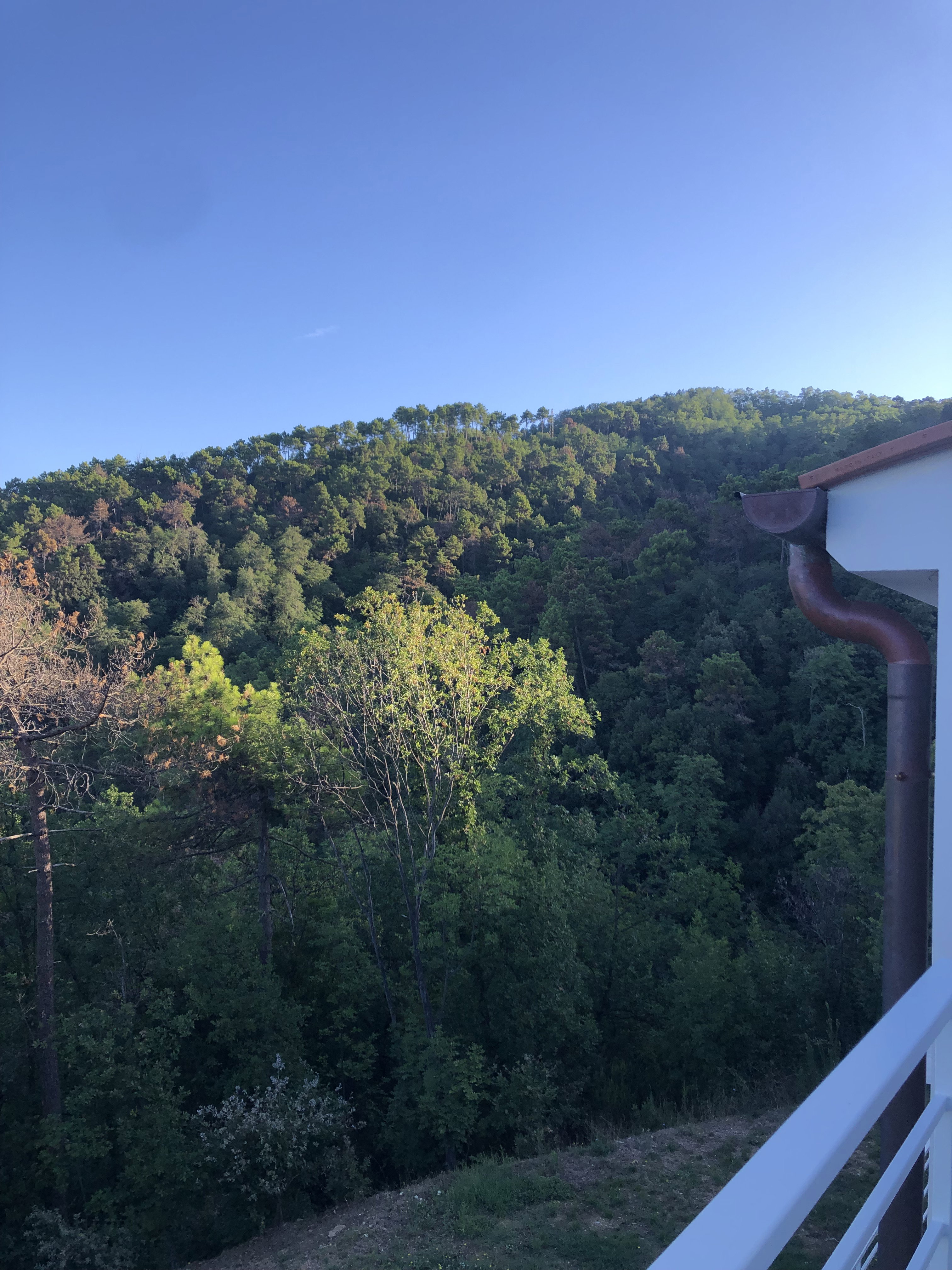 Natuurhuisje in Pieve a Elici