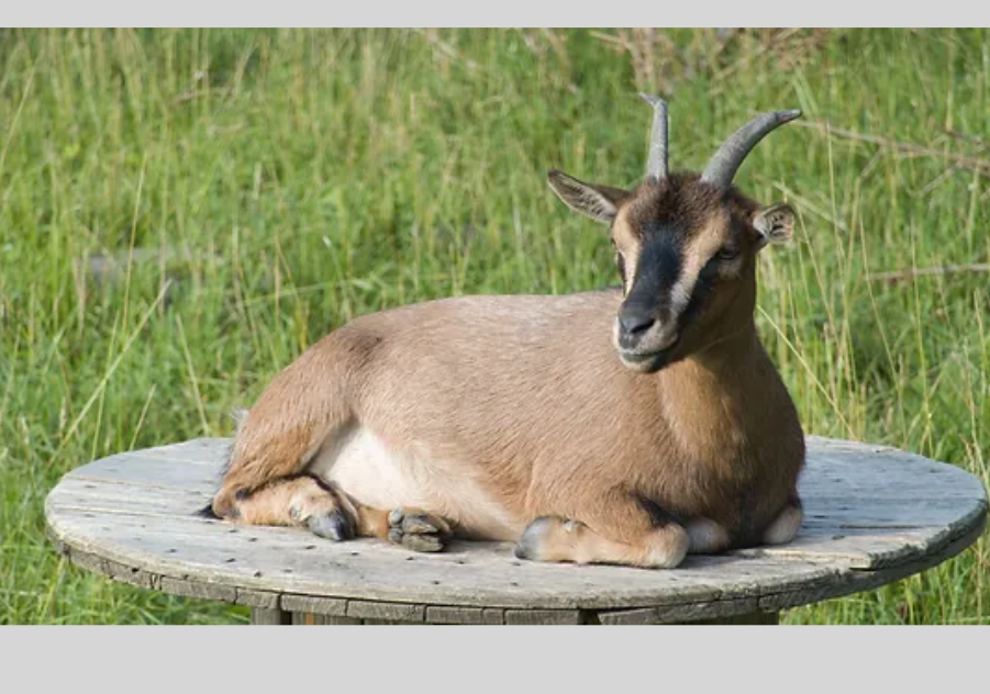 Naturhäuschen in BERIG VINTRANGE