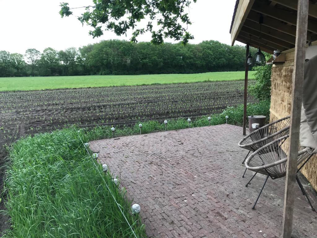 Natuurhuisje in Blesdijke