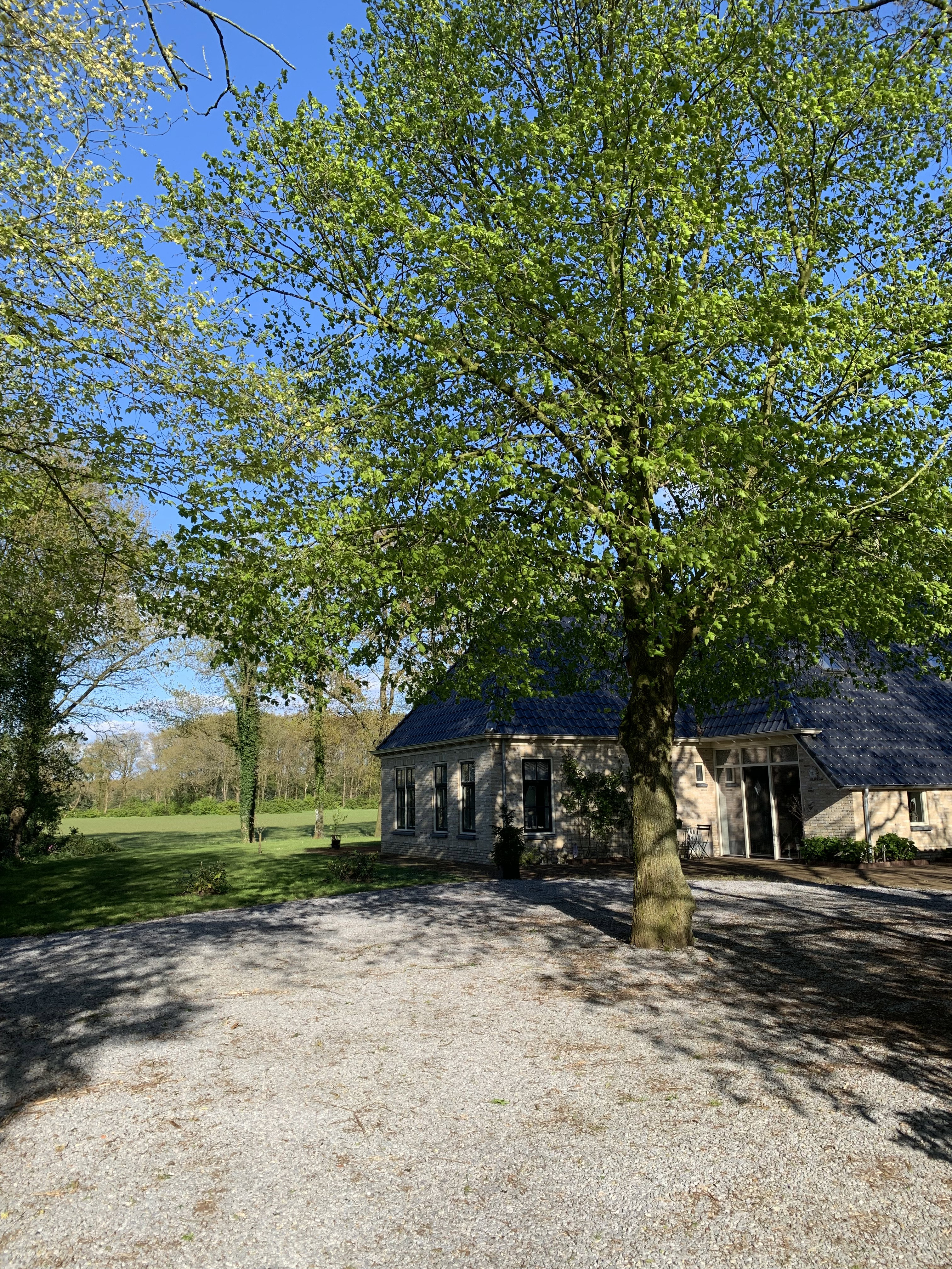 Natuurhuisje in Blesdijke