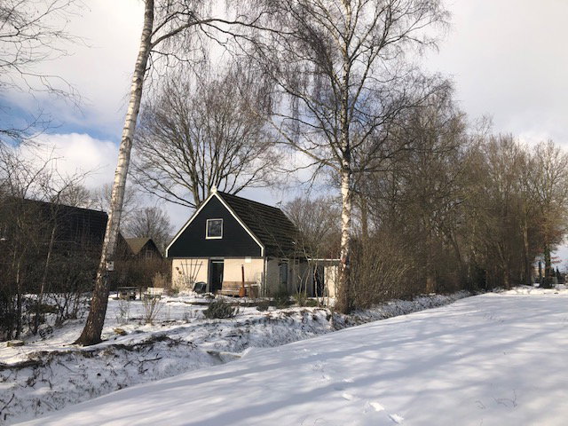 - image: 21