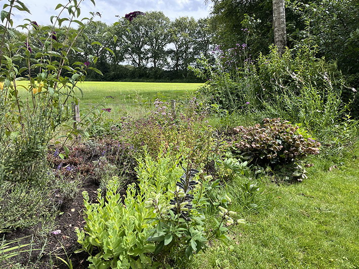 - image: 15