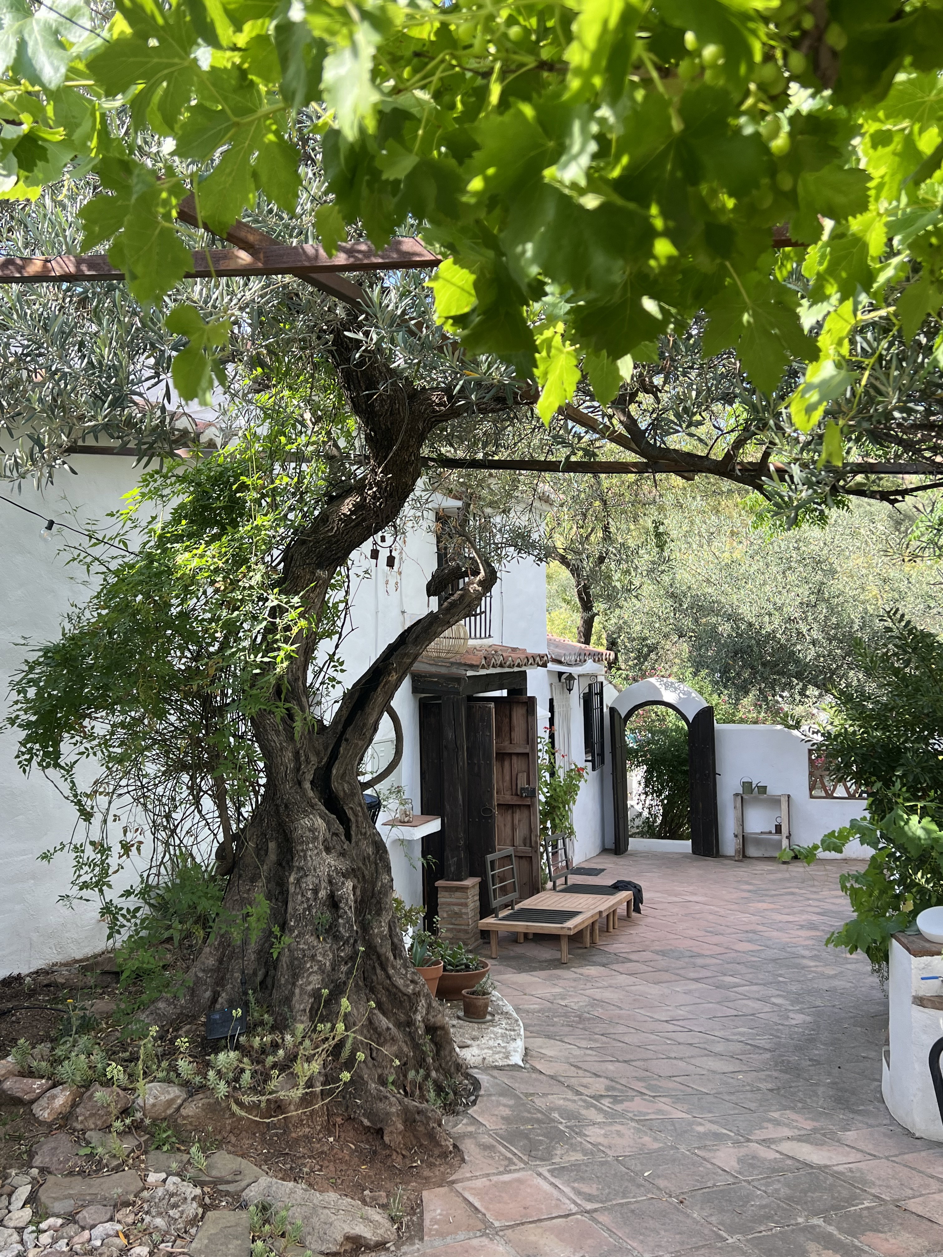 Maison nature à Colmenar Solano