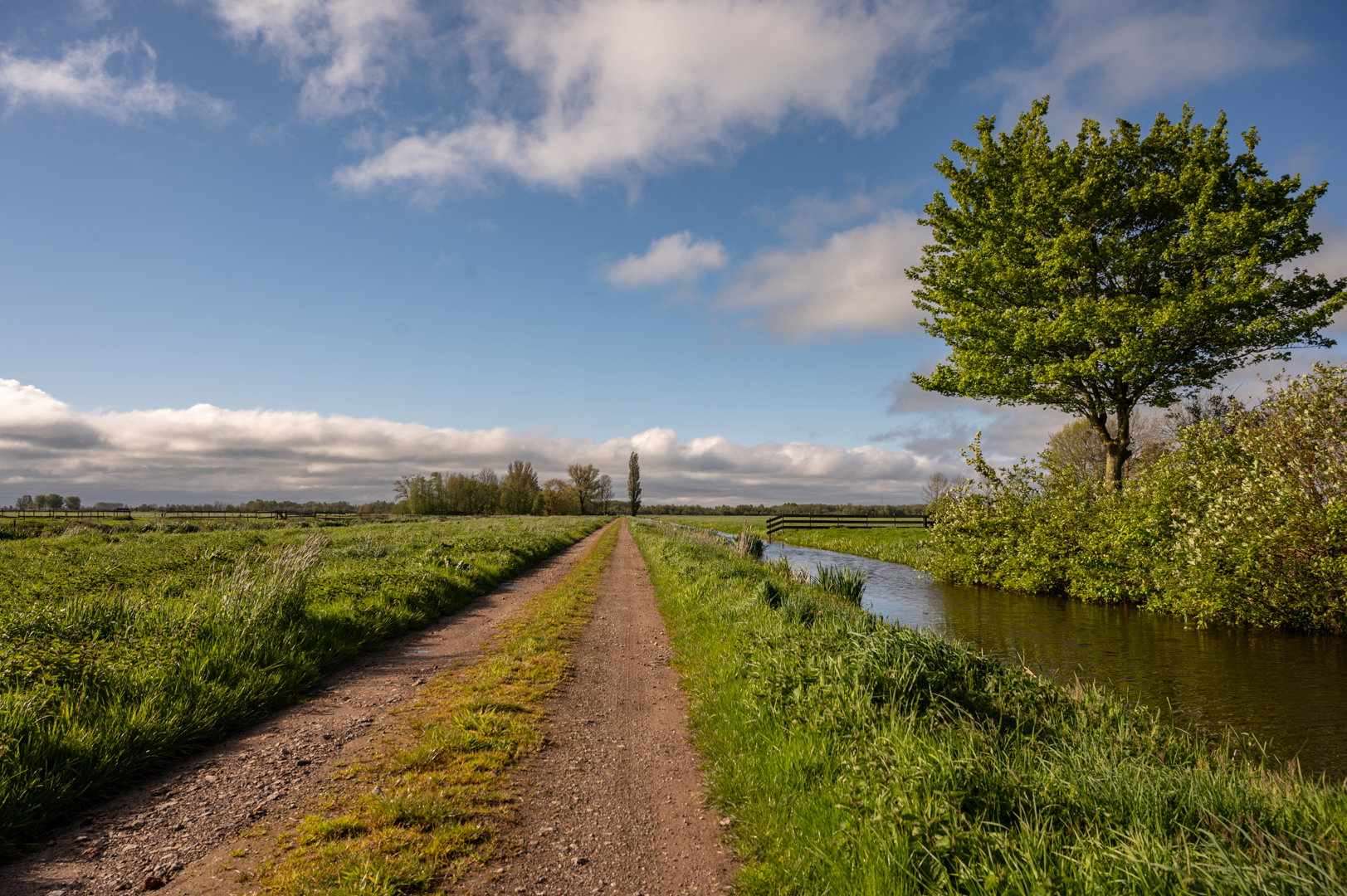 Naturhäuschen in Berkenwoude