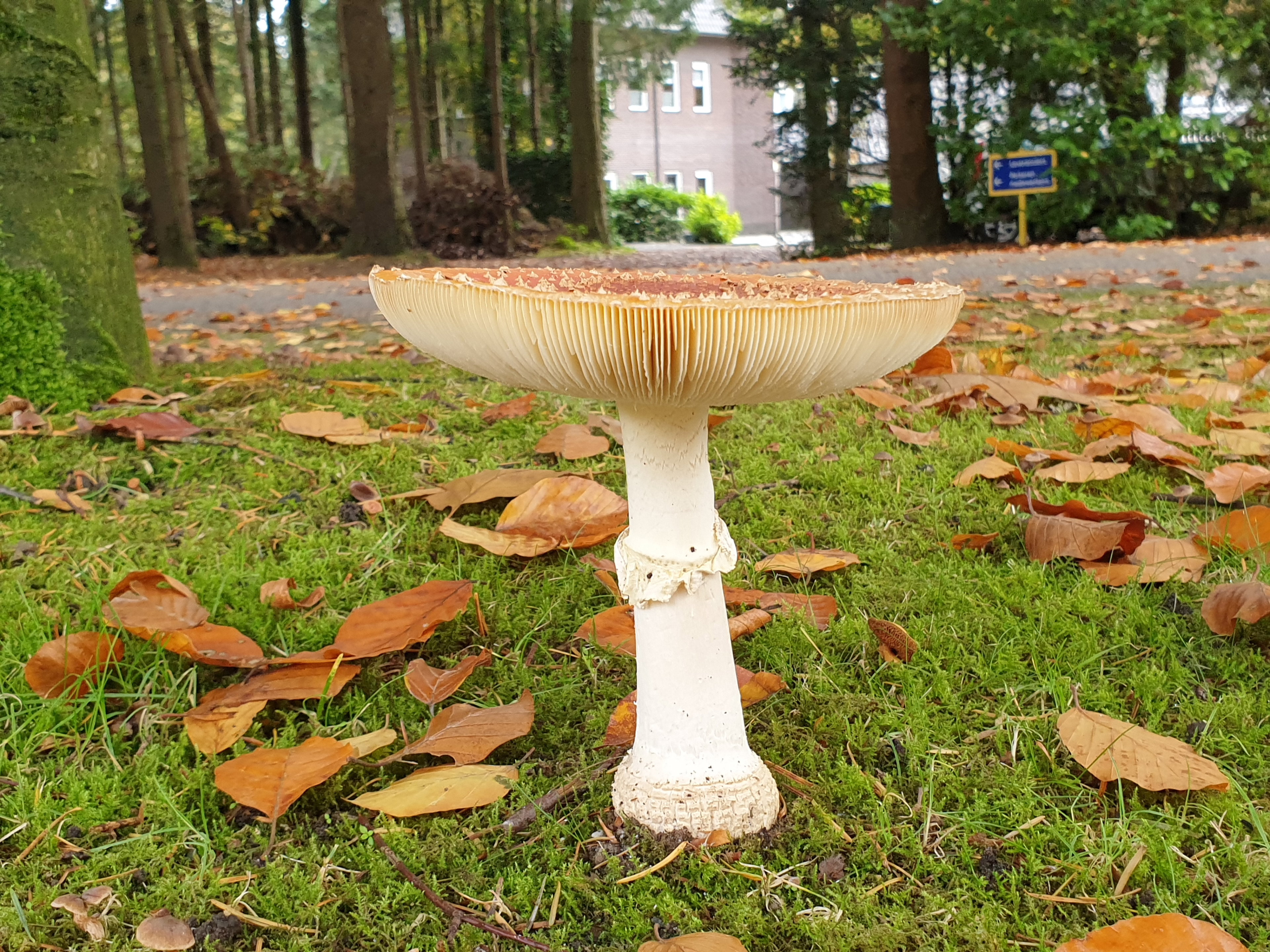 Natuurhuisje in Garderen
