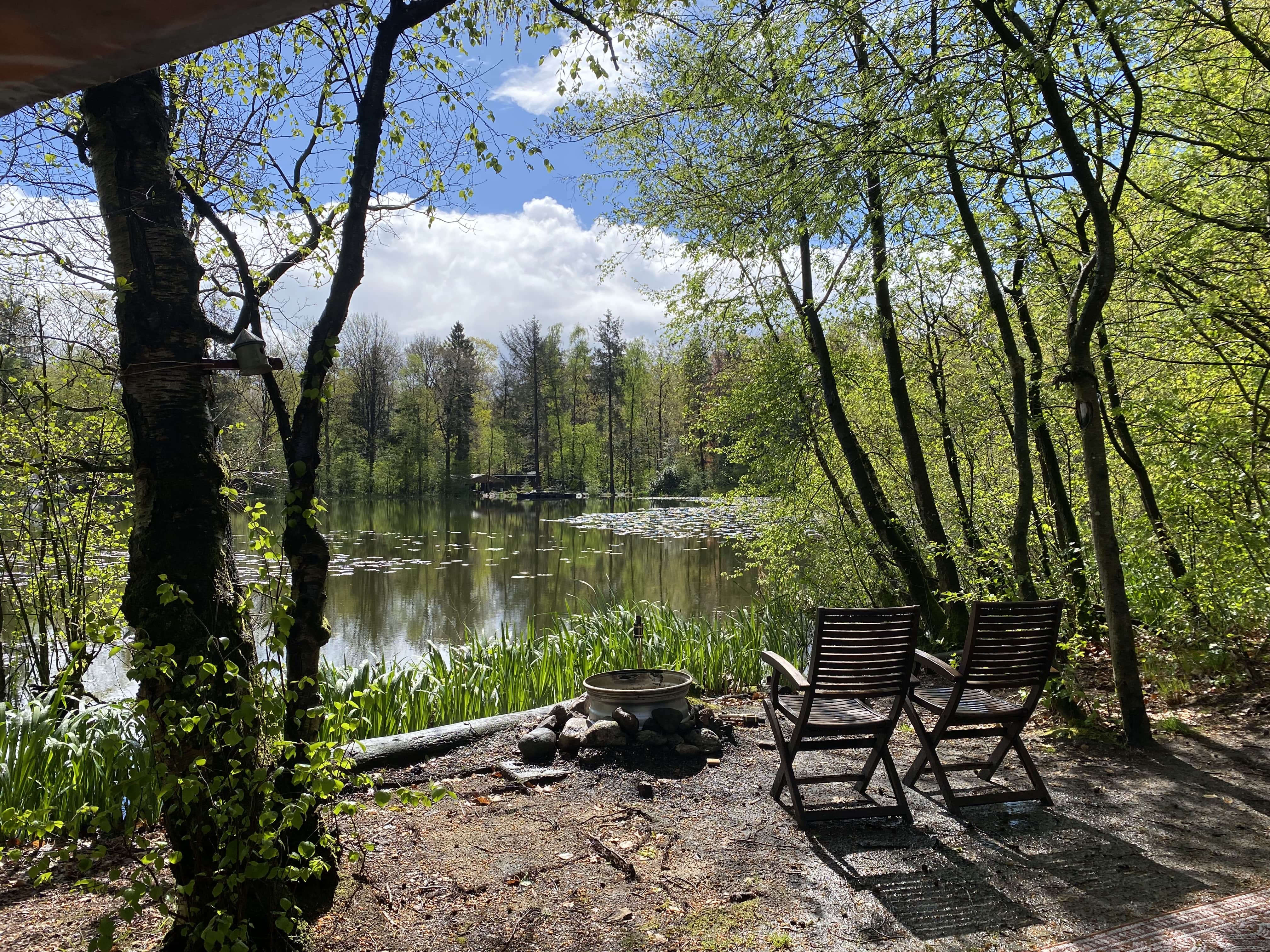 - image: 2