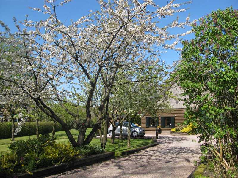 Casa nella natura a Valthe