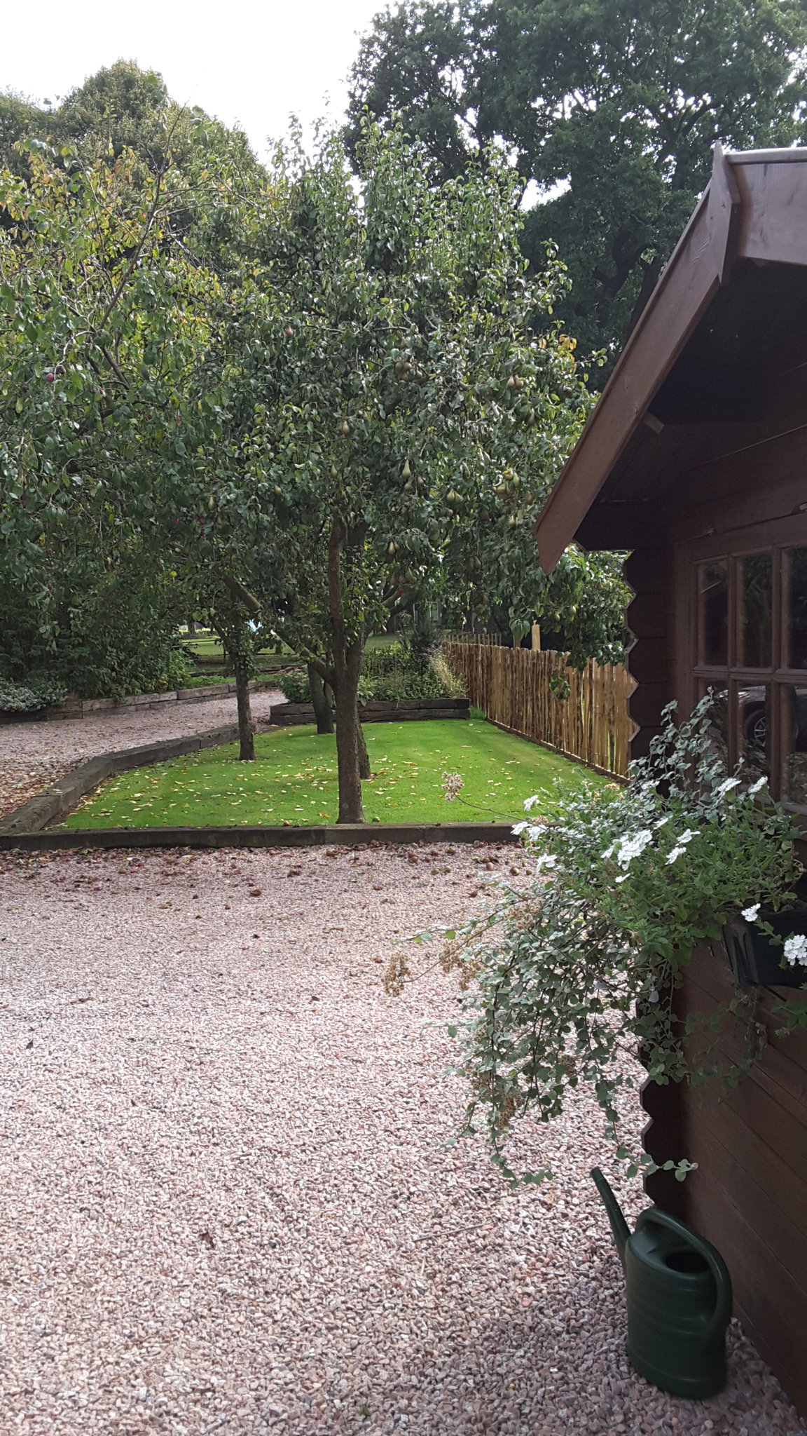 Casa nella natura a Valthe