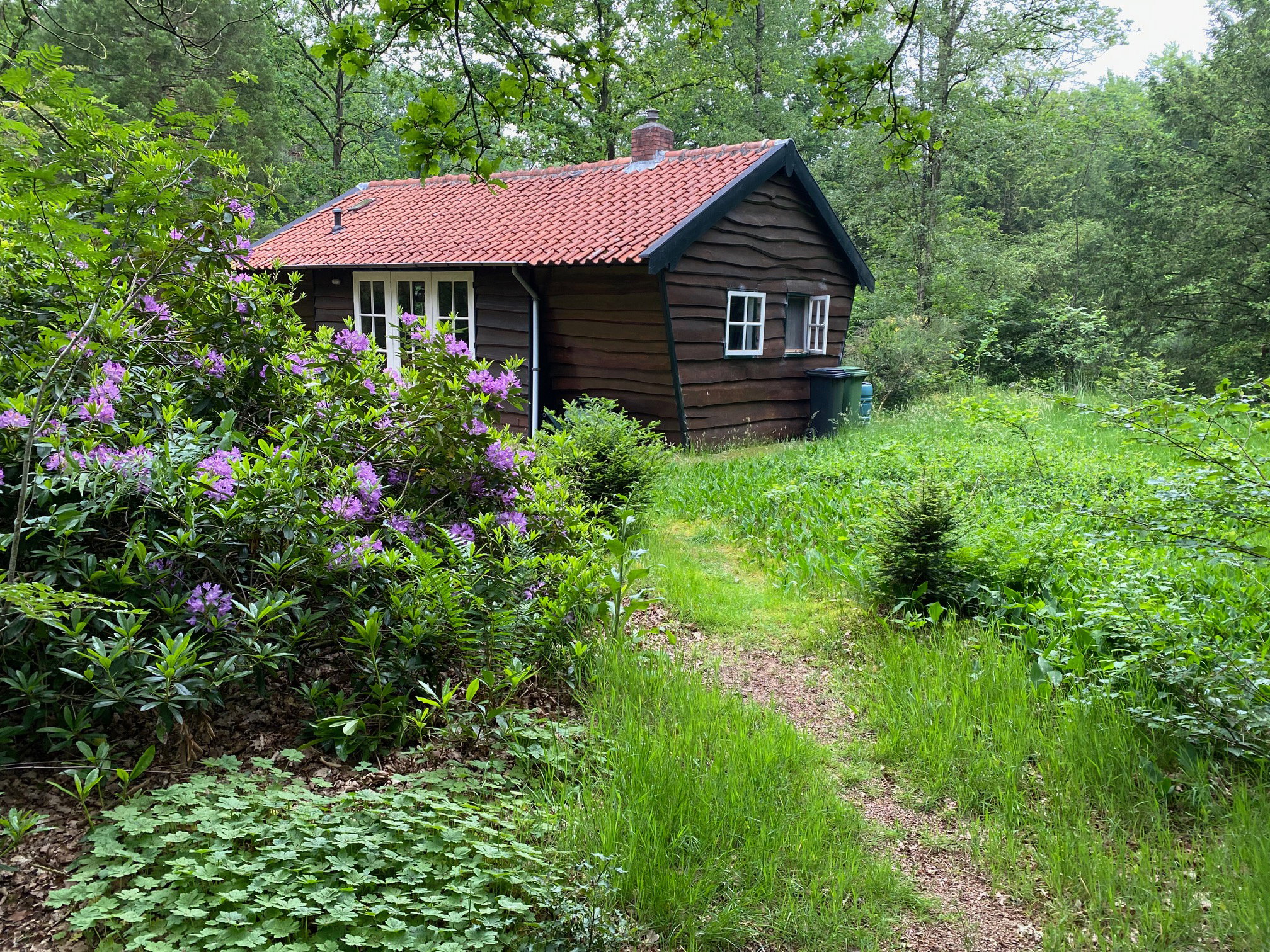 Naturhäuschen in Bergen op Zoom