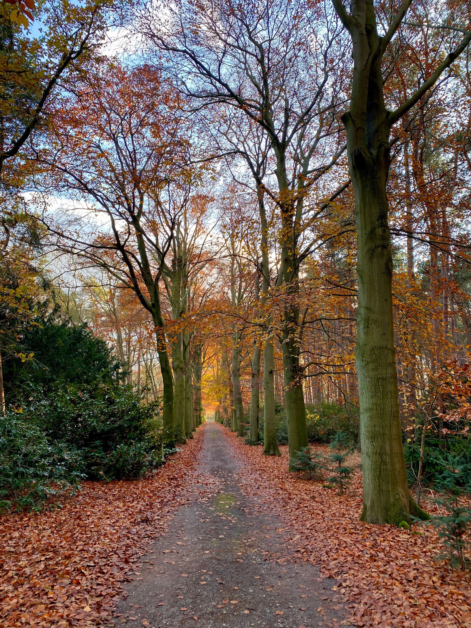 Naturhäuschen in Bergen op Zoom