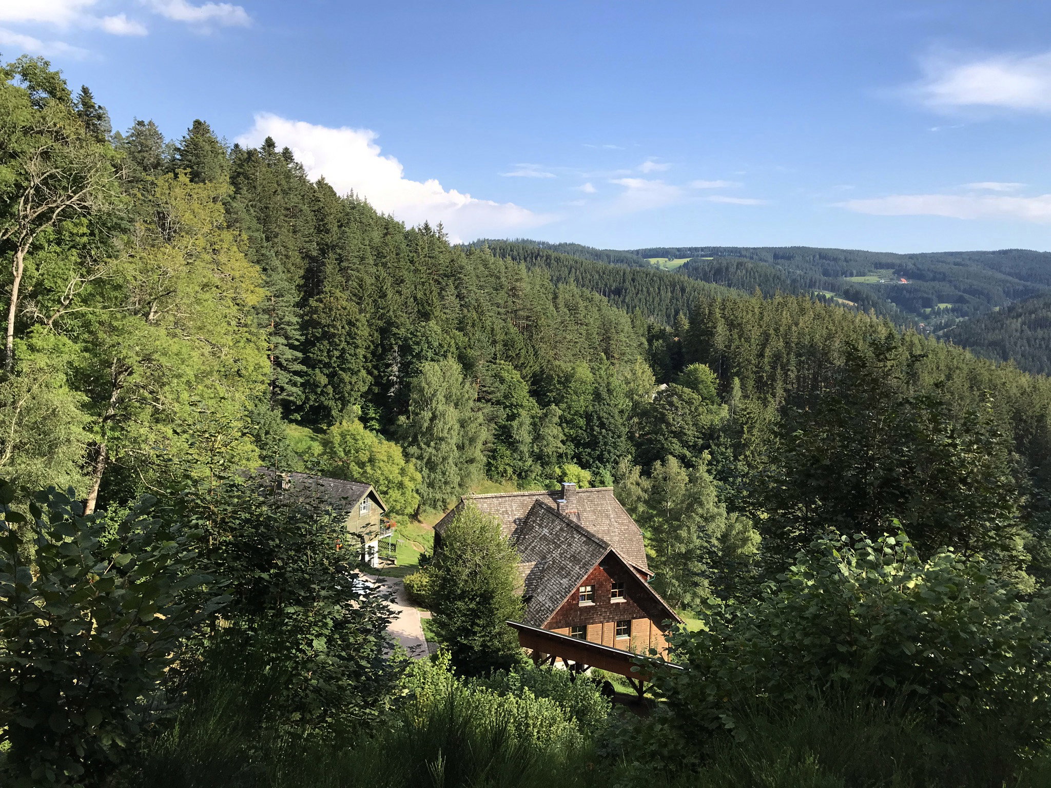 Natuurhuisje in Triberg