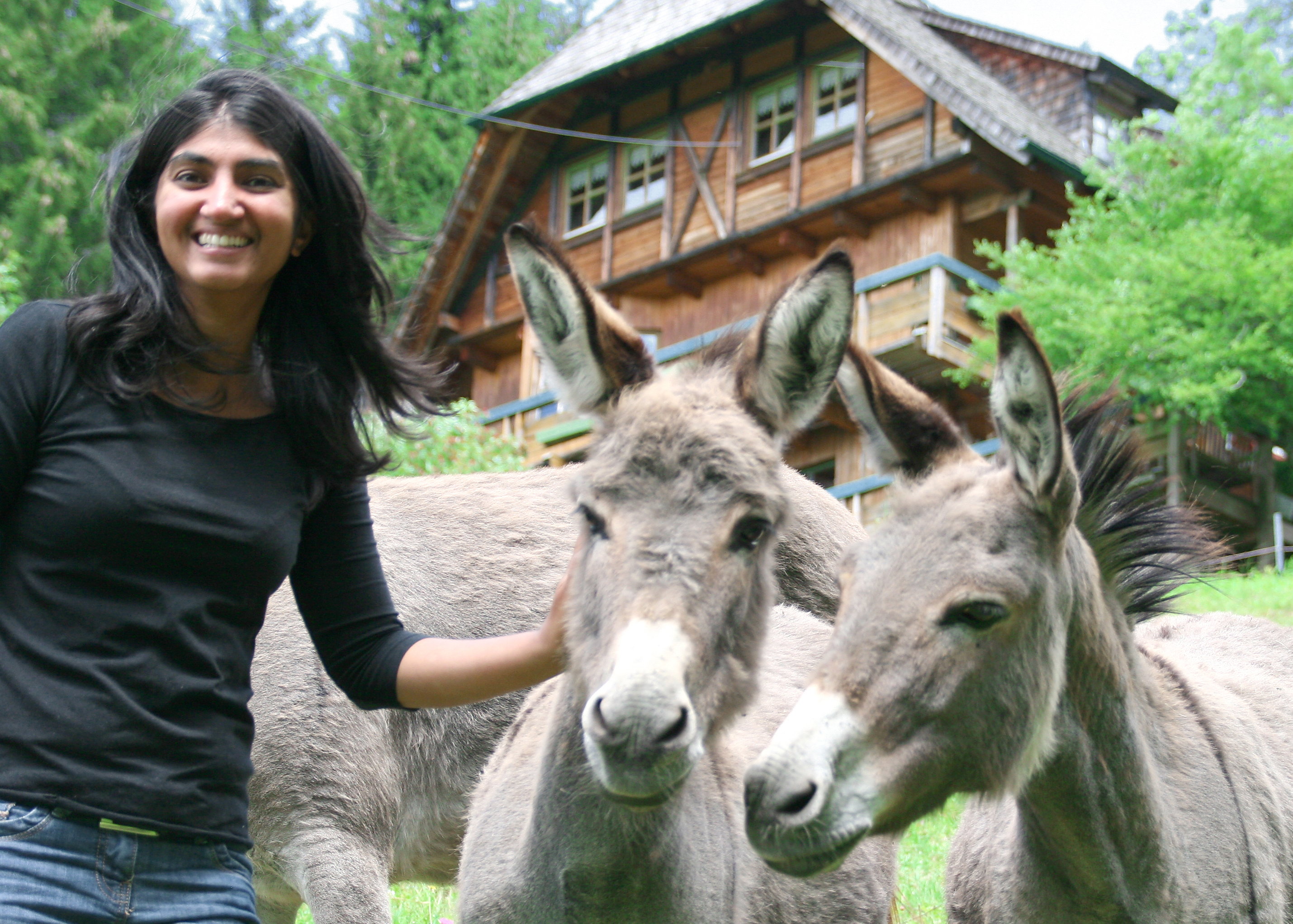 Casa nella natura a Triberg
