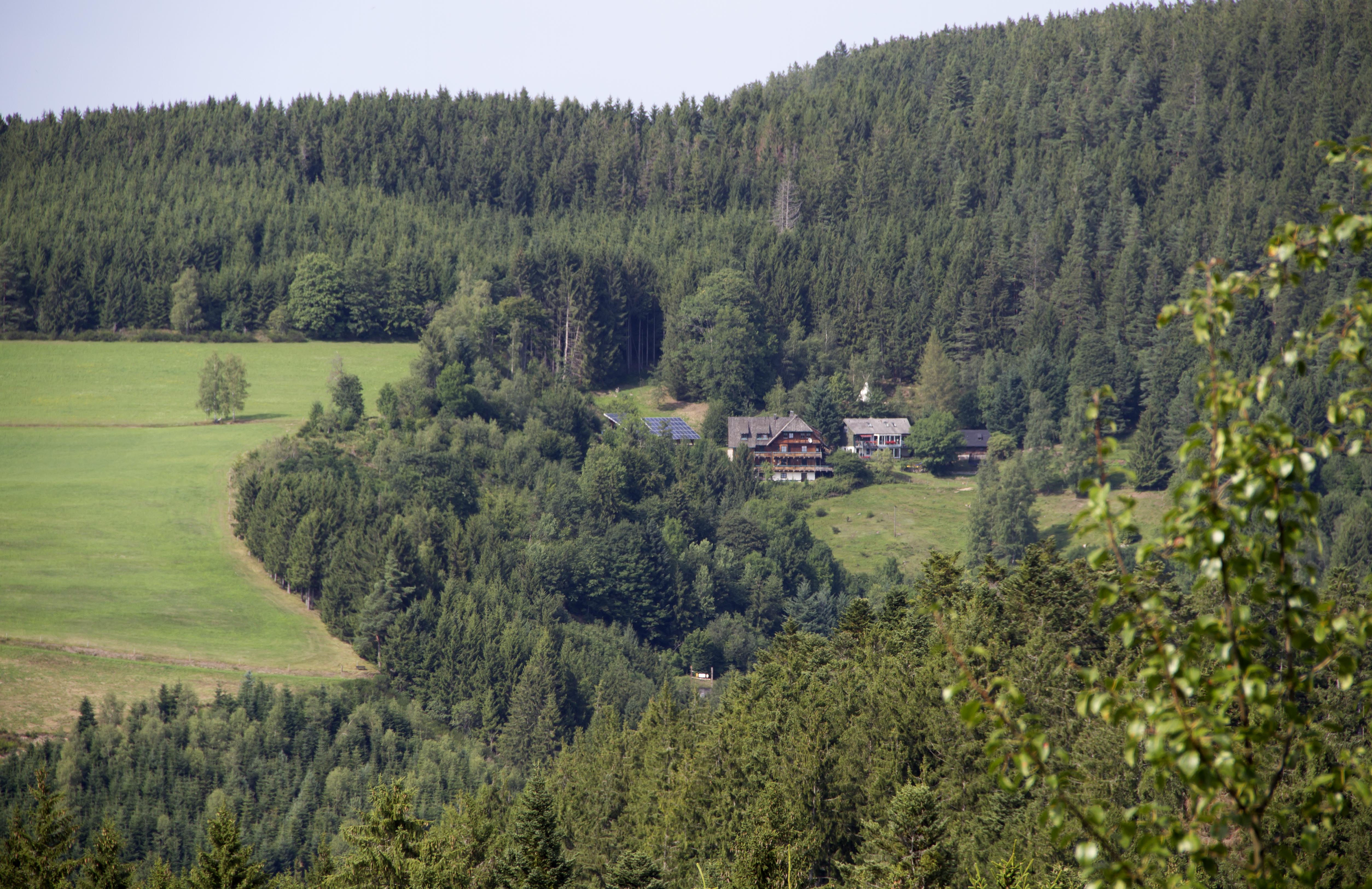 Casa nella natura a Triberg